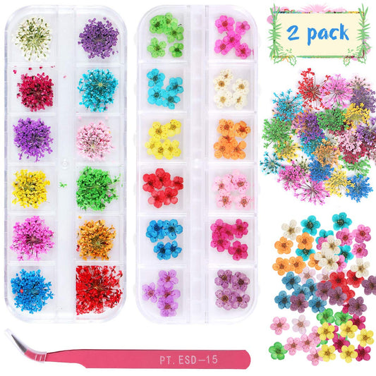 2 Boxes Dried Flowers for Nail Art, KISSBUTY 24 Colors Dry Flowers Mini Real Natural Flowers Nail Art Supplies 3D Applique Nail Decoration Sticker for Tips Manicure Decor (Flowers and Gypsophila)