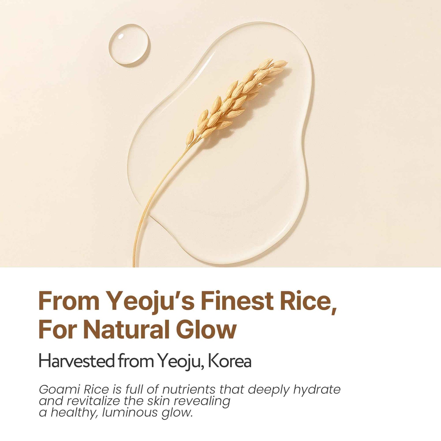 SOONDING Coconut Rice Milk Toner | Calming Hydration, Smooth Skin Texture and Strengthen Skin Barrier with Rice, Panthenol, Ceramide, AHA | Fragrance-Free, Korean Skin Care (150ml/ 5.07 fl oz)