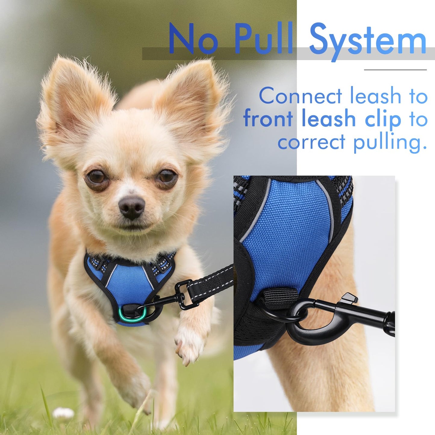 rabbitgoo Dog Harness, No-Pull Pet Harness with 2 Leash Clips, Adjustable Soft Padded Dog Vest, Reflective No-Choke Pet Oxford Vest with Easy Control Handle for Small Dogs, Dazzling Blue,XS