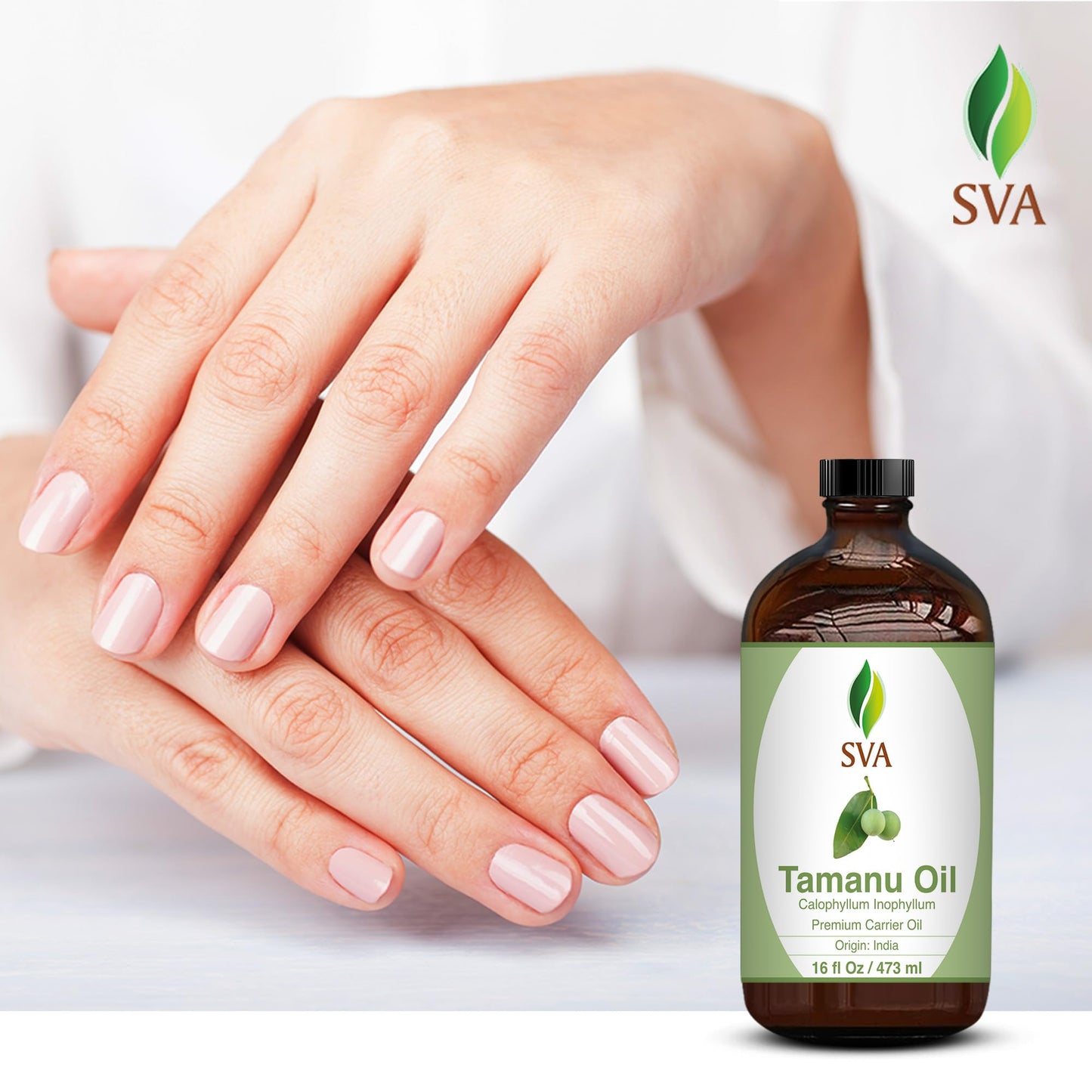 SVA Tamanu Oil 16oz Premium Carrier Oil for Skin Care, Hair Care, & Scalp Massage