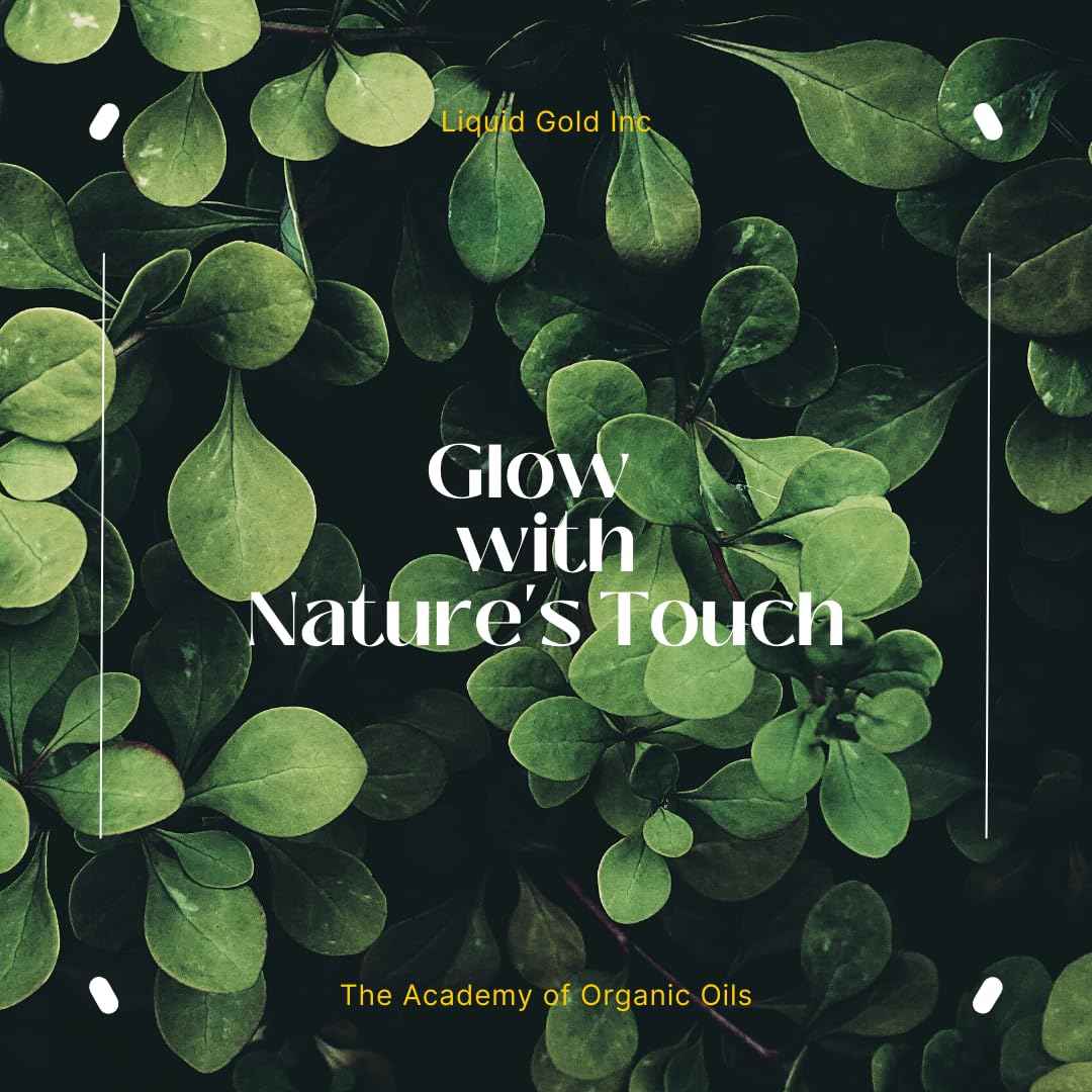 Liquid Gold Inc - 32 oz - Premium Mango Kernel Oil - 100% Pure Cold Pressed Natural Organic