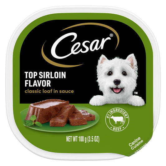 CESAR Wet Dog Food Classic Loaf in Sauce Top Sirloin Flavor, (24) 3.5 oz. Easy Peel Trays