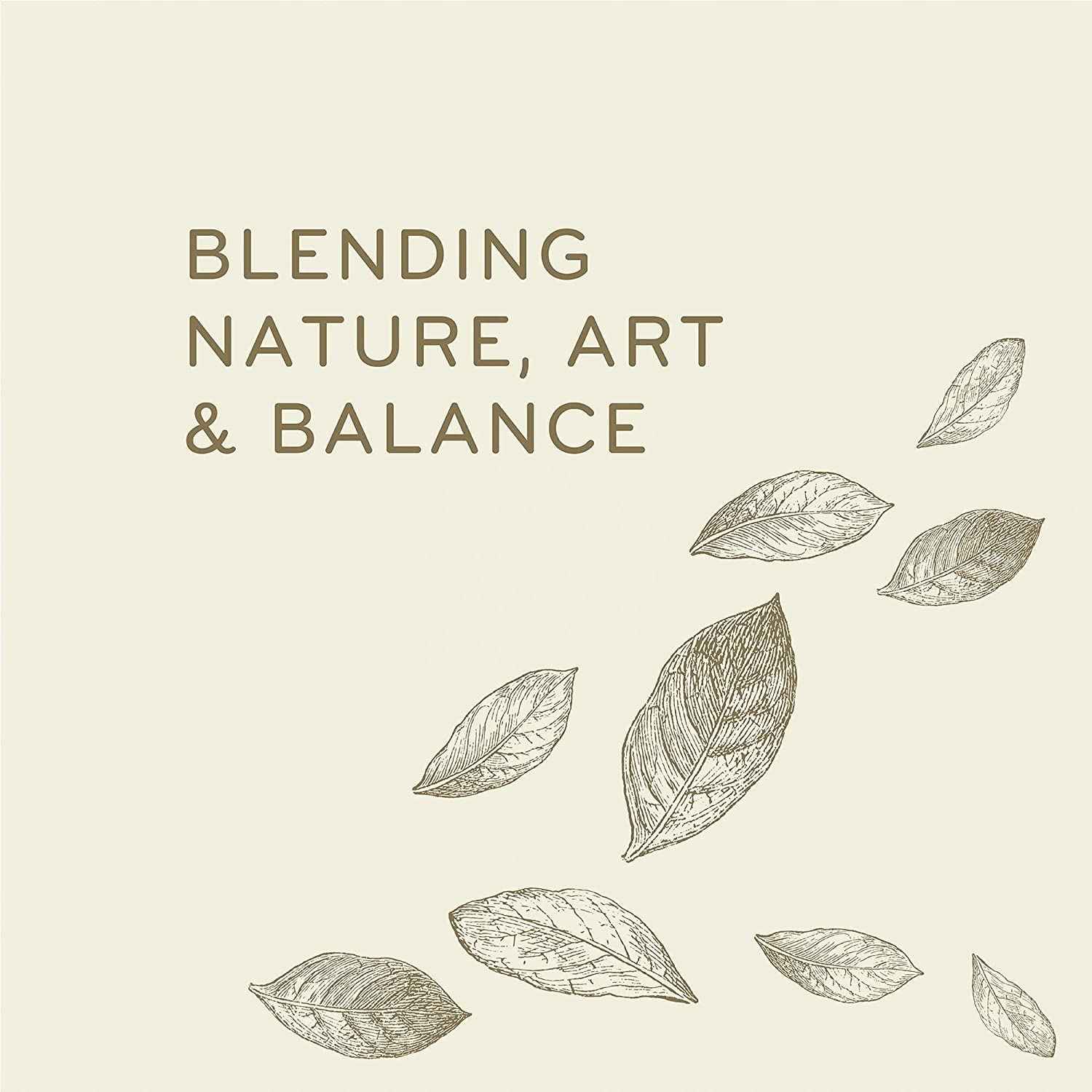 Thymes Goldleaf Perfumed Body Crème - Moisturizing Body Cream - Shea Butter Body Lotion with Vitamin E, jojoba Oil, and Honey for Skin Care Routine - Body and Hand Lotion for Women & Men (9.25 fl oz)