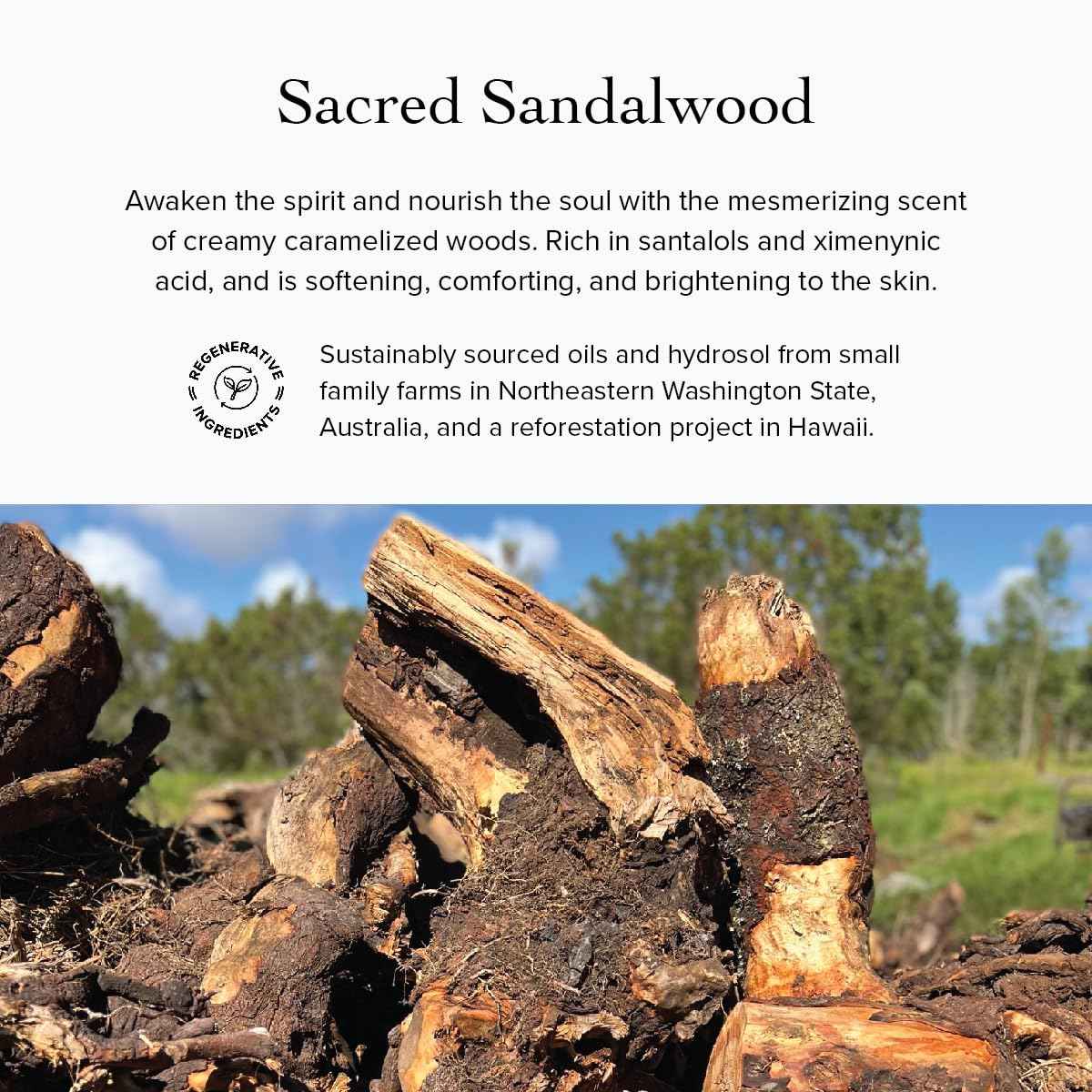 evanhealy Argan Intensive Serum | Handcrafted Argan Oil with Organic Essential Oils | Nurturing & Rejuvenating Treatment for All Skin Types