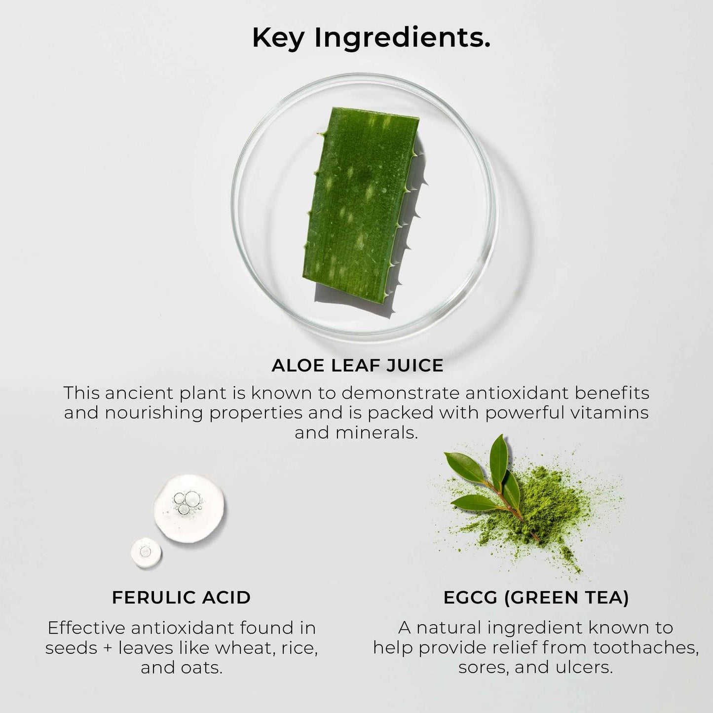 PerioSciences Natural Mouthwash Rinse Oral Care Pre Brush - Mint Anti Cavity Dry Mouth Plaque Remover for Healthier Gum Tissue & Teeth Enamel Protection - AO Dentist Recommended Clean - Pack of 2