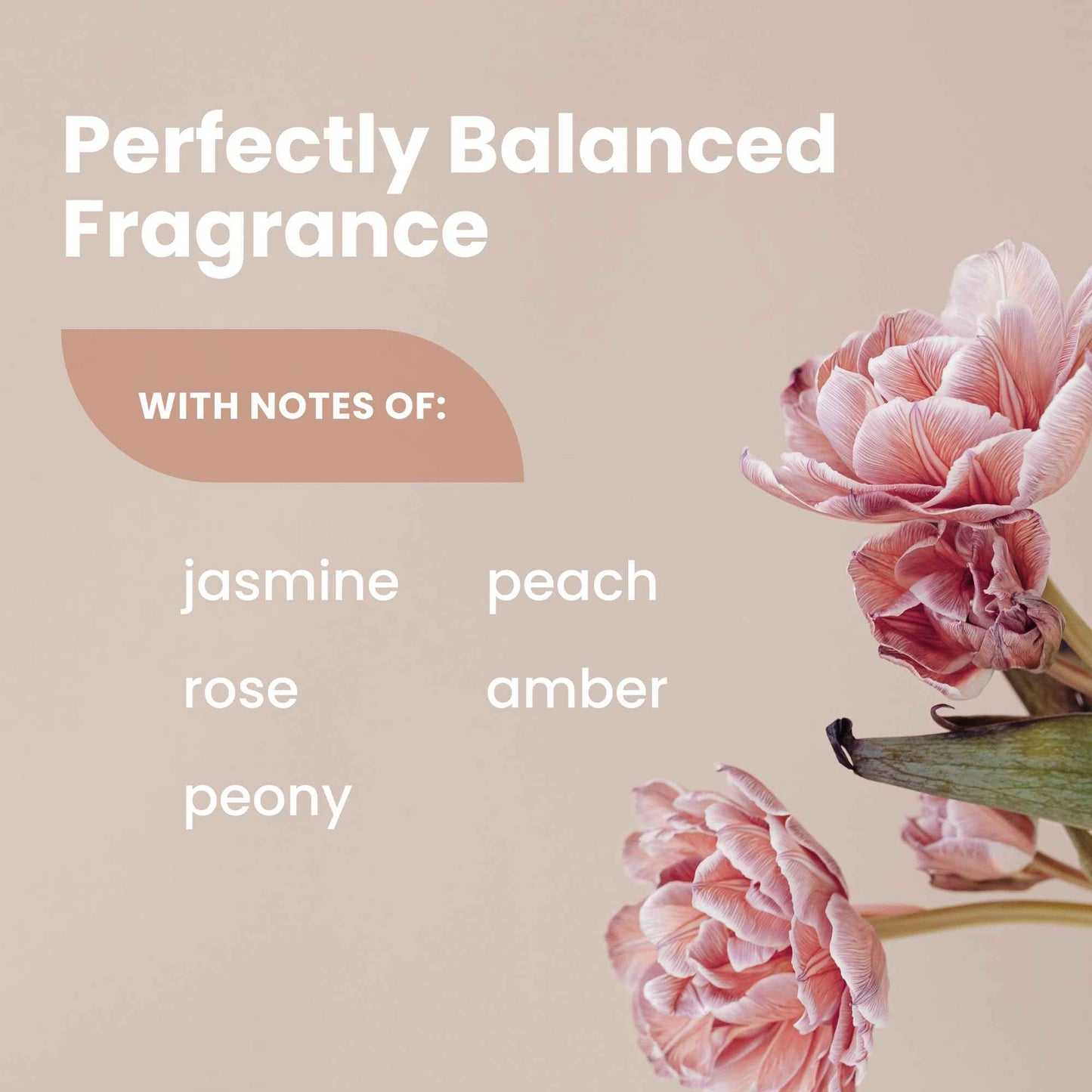 Super Fresh Lady Parts Natural Deodorant for Women Aluminum Free Odor Control for Privates Underboobs Thighs Armpits Skinfolds Jasmine Rose Scent Long Lasting Freshness for Sensitive Care 2 Pack