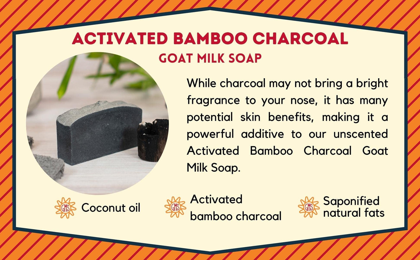 Goat Milk Stuff CHARCOAL Goat Milk Soap - Natural Soap Bar, Gifts for Men and Women, Gentle for both Face and Body, Handmade Bar Soap (Box of 2)