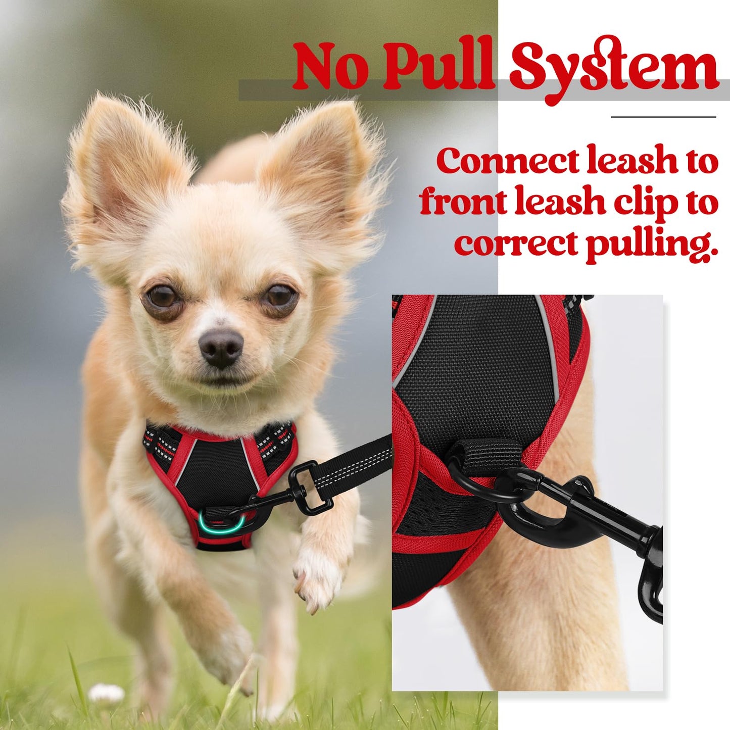 rabbitgoo Dog Harness, No-Pull Pet Harness with 2 Leash Clips, Adjustable Soft Padded Dog Vest, Reflective No-Choke Pet Oxford Vest with Easy Control Handle for Large Dogs, Black & Red, X-Small