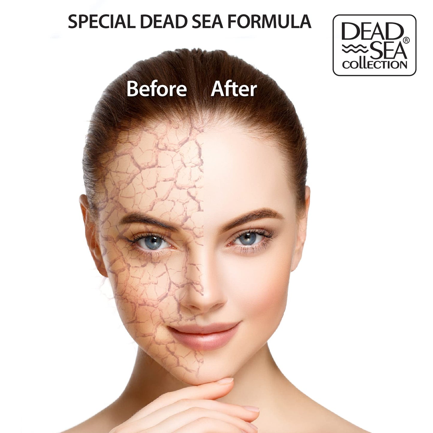 Dead Sea Collection Anti-Wrinkle Night Cream for Face with Hemp & Tea Tree and Sea Minerals - Nourishing and Moisturizer Face Cream (1.69 fl.oz)