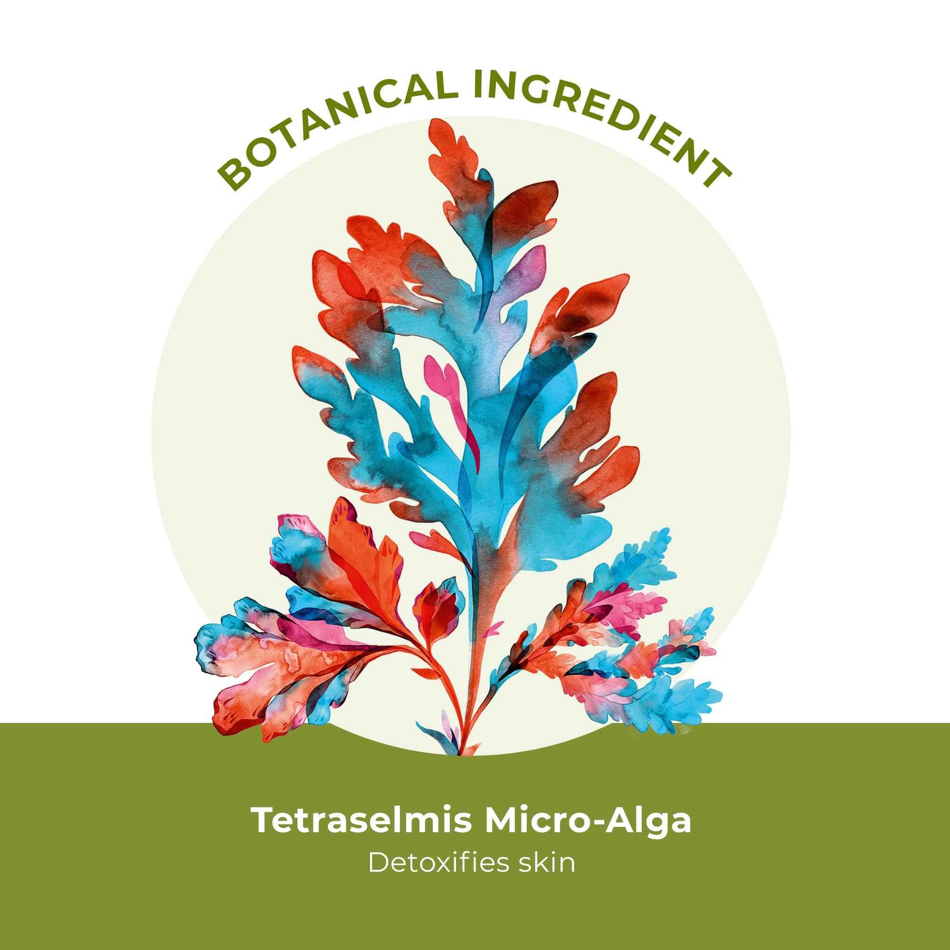 Yves Rocher 3 in 1 Makeup Removing Marine Jelly for Normal to Combination Skin – Pure Algue – 5 Oz – 1 Ct