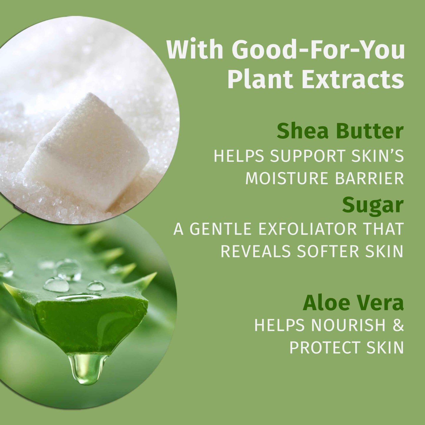 Hempz Age Defying Body Moisturizer, 17 Fl Oz, 2 Pack Bundle - Daily Herbal Moisturizer, Shea Butter Anti-Aging - Body Lotion, Hemp Extract Lotion - Skin Care Products, 100% Pure Organic Hemp Seed Oil