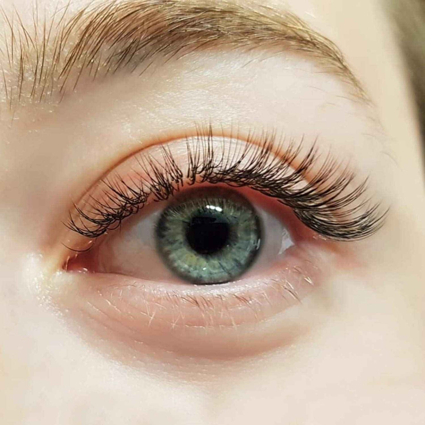 Metaleks Tweezers for Eyelash Extension - Straight and Curved Pointed Tweezers - Professional Stainless Steel Precision Tweezers set - 2 Pcs - With Pouch In Purple Powder Coating