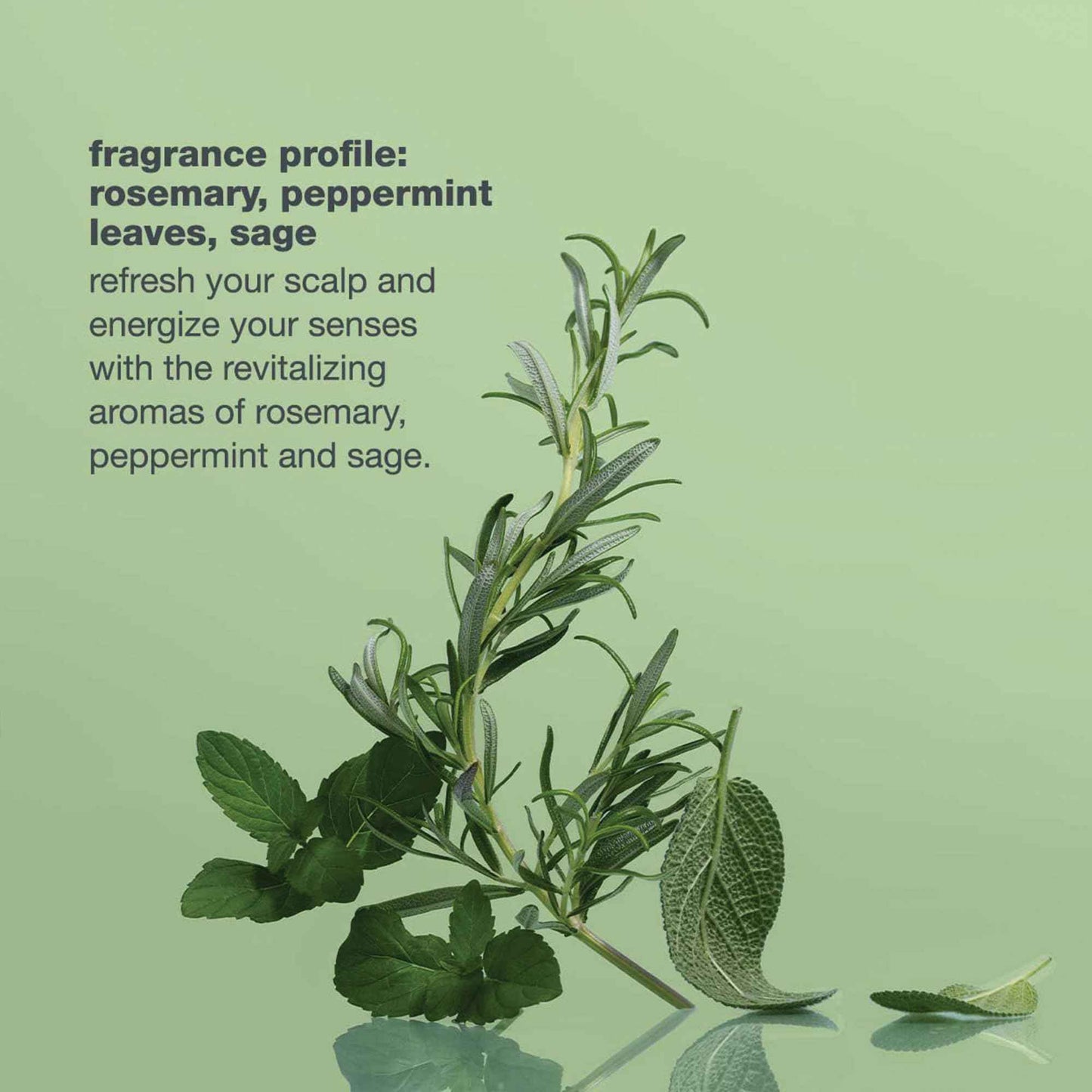 milk_shake Energizing Blend Hair Thickening Scalp Treatment - Revitalizing Volume Treatment for Fine and Fragile Hair, 1.1 Fl Oz