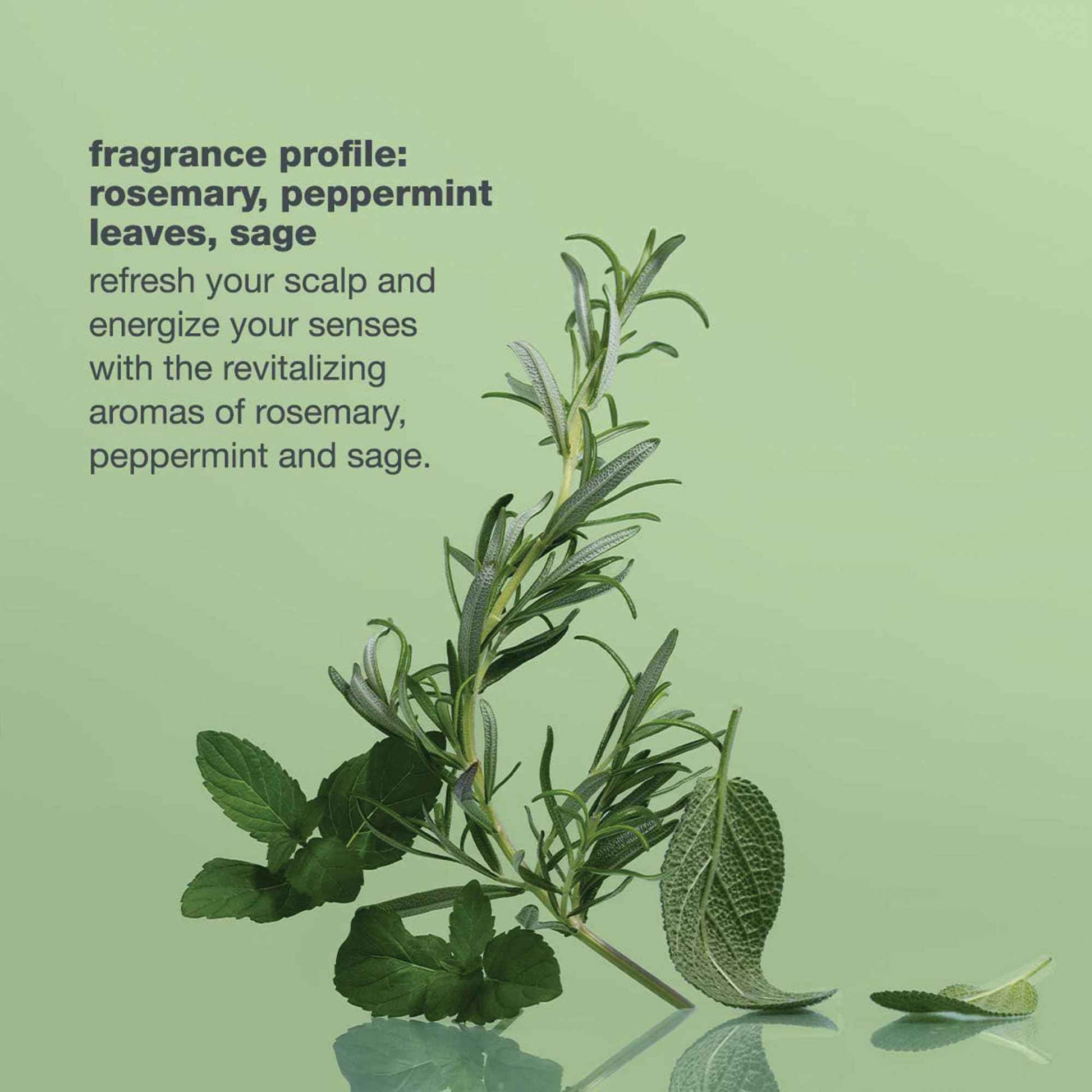 milk_shake Energizing Blend Hair Thickening Scalp Treatment - Revitalizing Volume Treatment for Fine and Fragile Hair, 1.1 Fl Oz