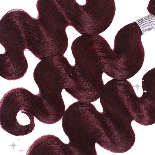 ALHER 99j Color Human Hair Bundles Body Wave, 12A Dark Burgundy Wine Red Colored Bundles Human Hair, 100% Unprocessed Virgin Remy Hair Soft Thick Single Wavy Bundle Sew In Double Weft 16 Inch