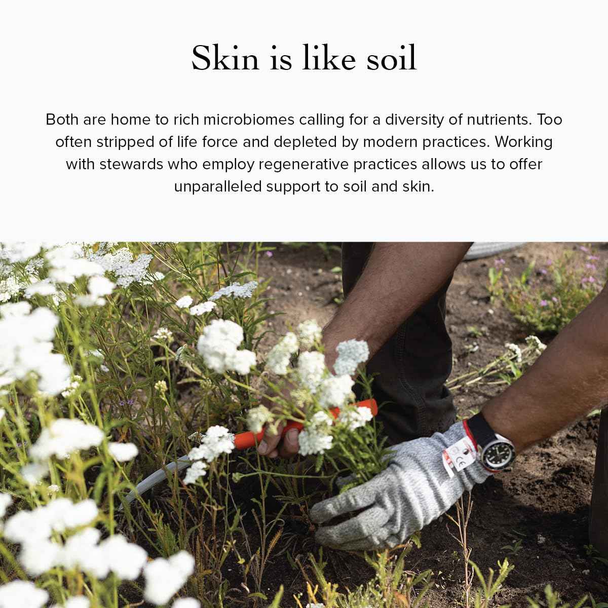 evanhealy Calming Ritual | Blue Skin Care Set | 5 Piece Travel Face Care Kit for Sensitive Skin | Skincare Kit with Facial Mask & Gentle Skin Cleanser | Soothe Reactive Skin