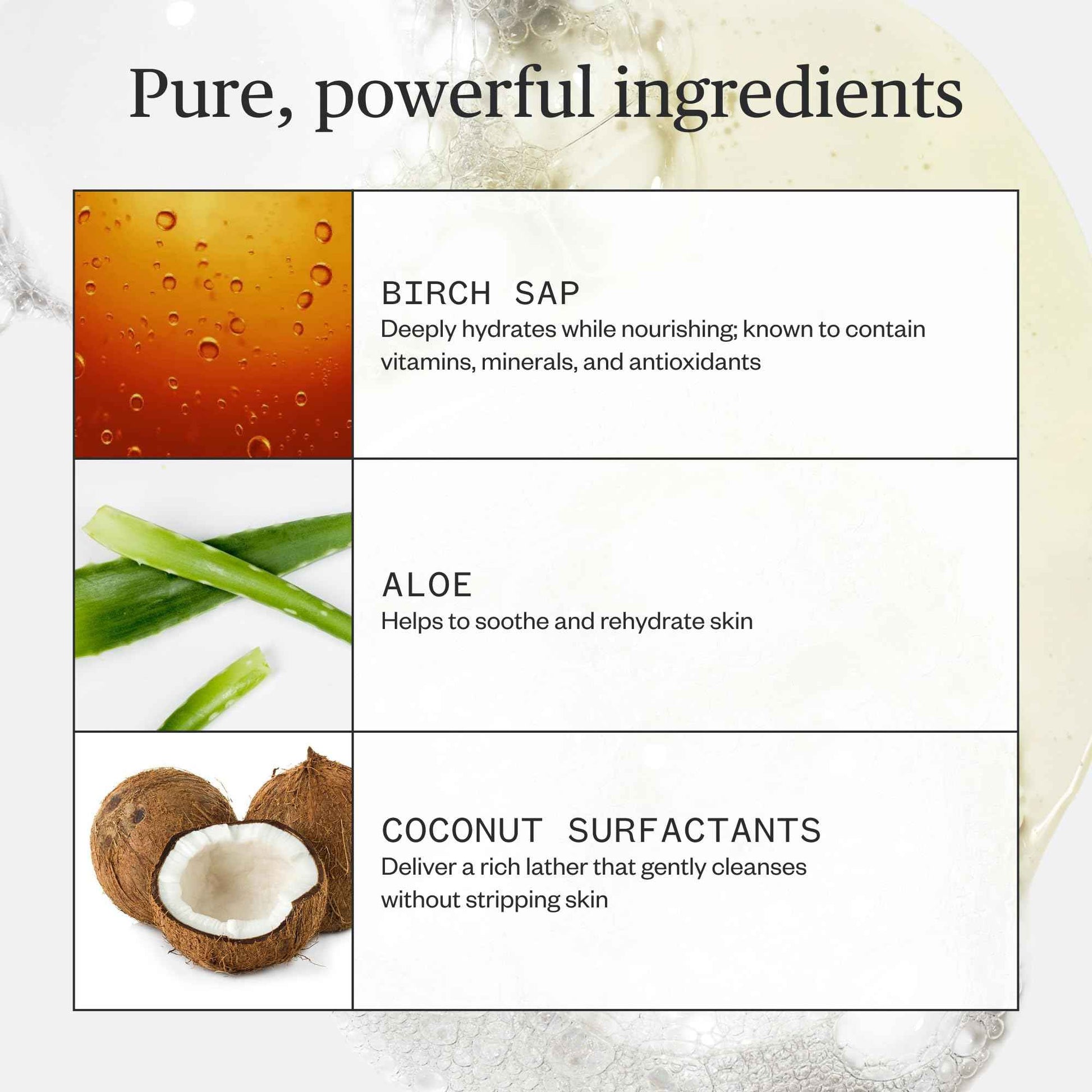 Ursa Major Botanic Buzz Hand Wash | Natural Liquid Hand Soap | Cleanses, Hydrates, Moisturizes & Soothes | Vegan, Cruelty-Free & Non-Toxic | 10oz