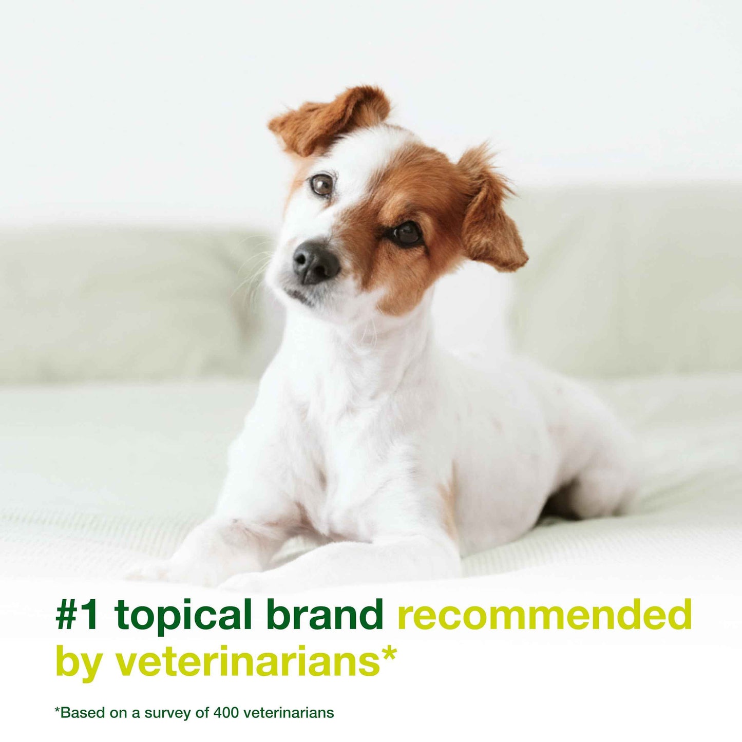 Douxo S3 Seb Mousse, Contains 0.5% Ophytrium, Odor Control & Seboregulating, For Oily to Flaky Skin, Seborrhea, For Dogs and Cats, 5.1 fl. oz. (150mL)