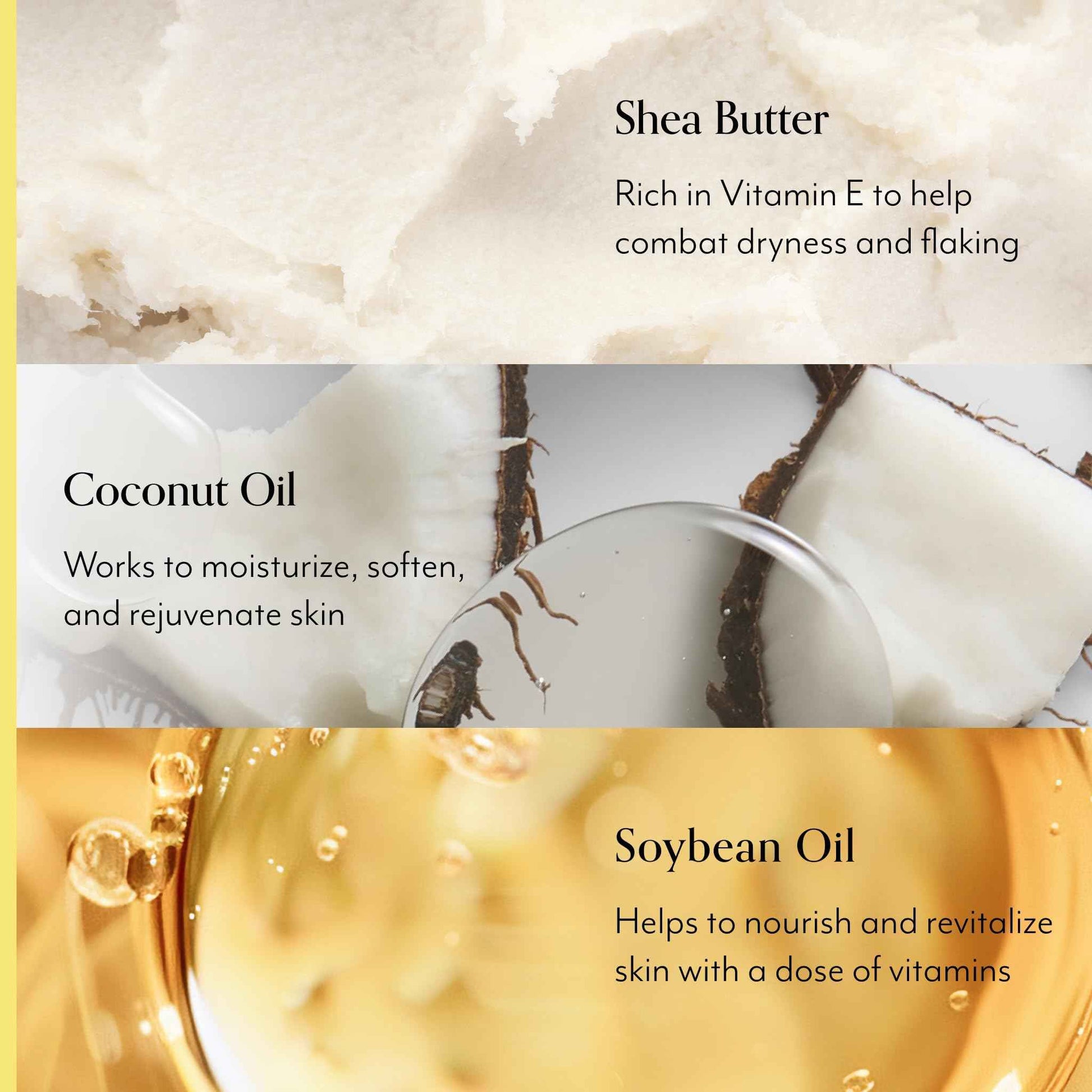 Bliss Body Butters Duo Lemon and Sage Body Butter and Grapefruit and Aloe - Maximum Moisture Cream - 6.7 Fl Oz Lotion for Dry Skin - Long-Lasting Moisturizer- Vegan and Cruelty-Free