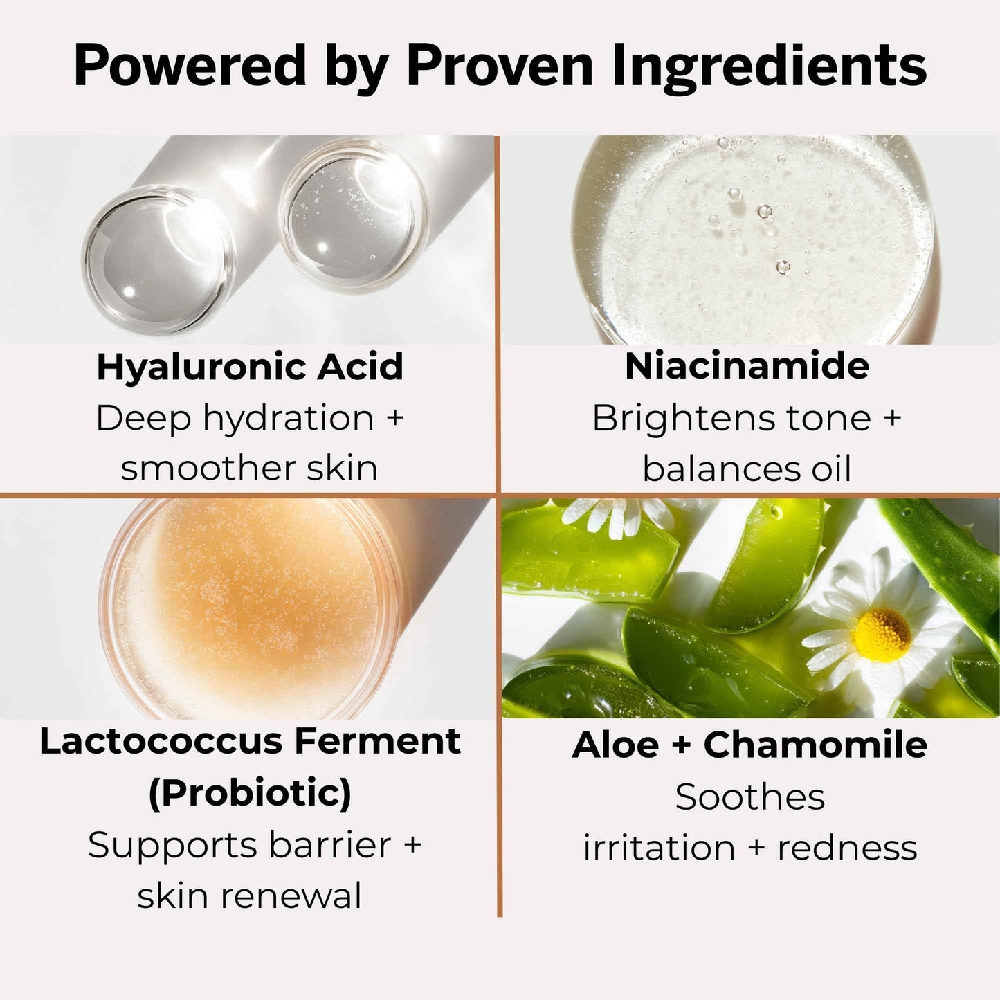 stubble & stache Beard & Face Moisturizer for Men - Hydrating Lotion with Hyaluronic Acid, Niacinamide, Argan Oil, Aloe Vera, Jojoba Oil, & Vitamin A for Dry Skin & Beard Conditioning - 3.4 fl oz