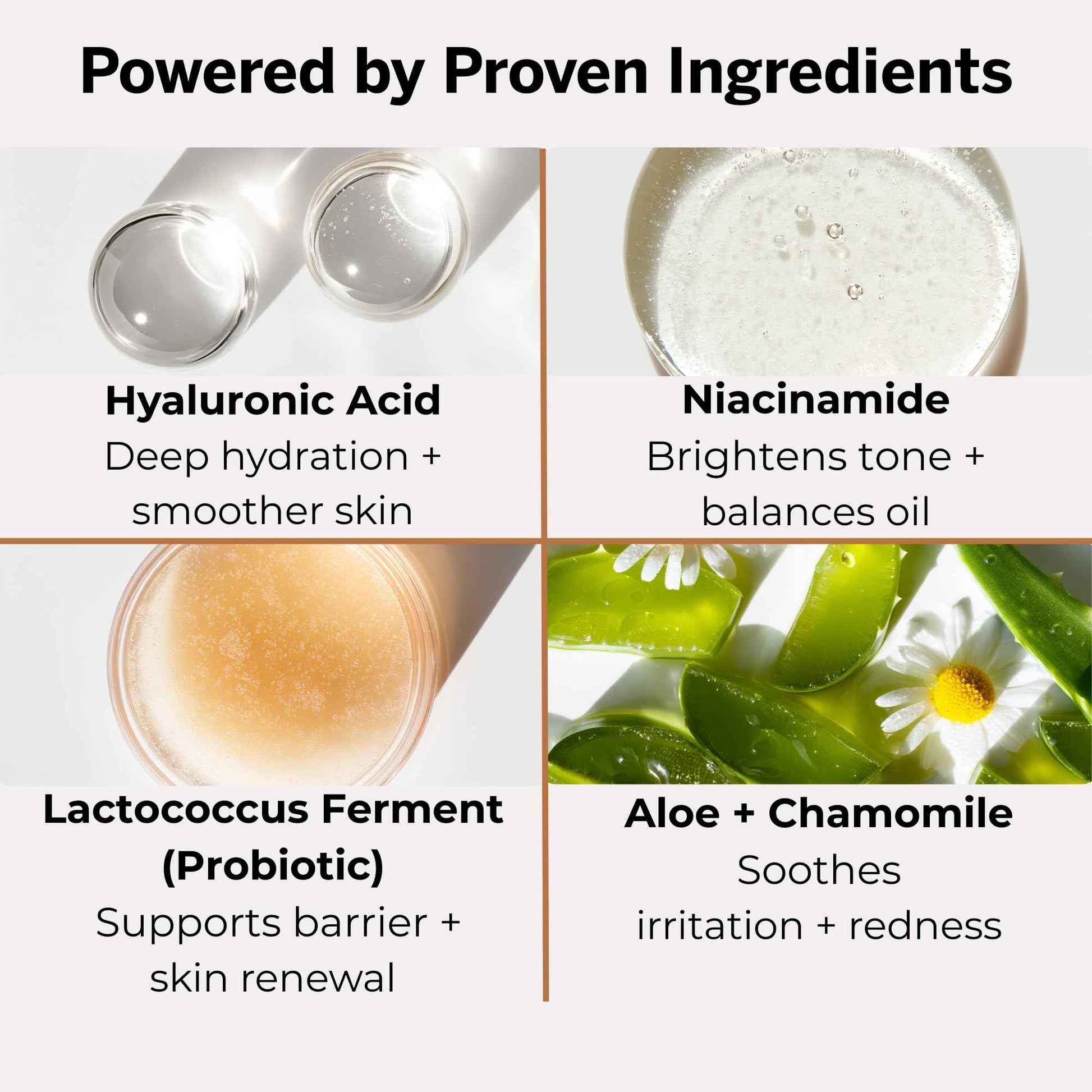 stubble & stache Beard & Face Moisturizer for Men - Hydrating Lotion with Hyaluronic Acid, Niacinamide, Argan Oil, Aloe Vera, Jojoba Oil, & Vitamin A for Dry Skin & Beard Conditioning - 3.4 fl oz