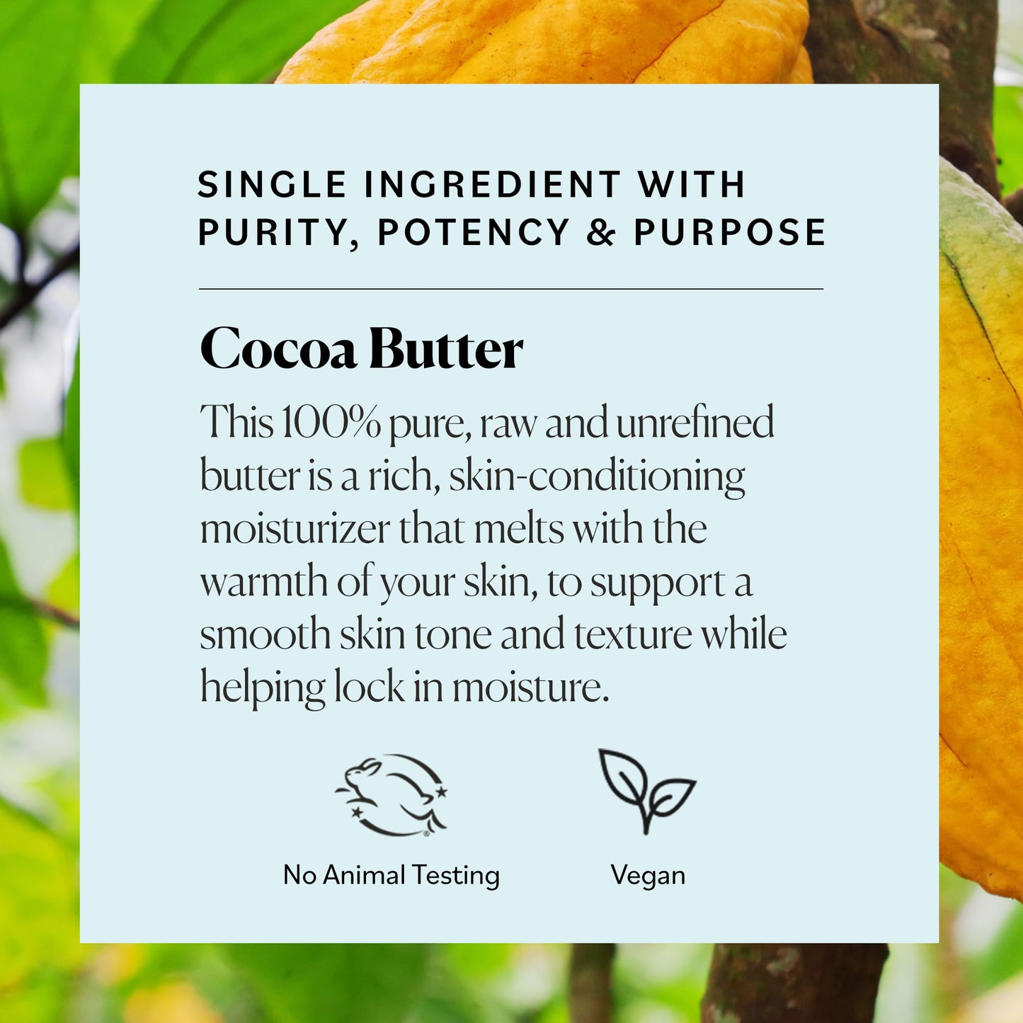 Sky Organics Cocoa Butter for Body, 100% Raw & Unrefined Ultra-Moisturizing Butter to Deeply Hydrate & Condition Skin, Promotes Smooth Skin Tone & Texture, Suitable for Tight or Extra Dry Skin, 16 Oz.