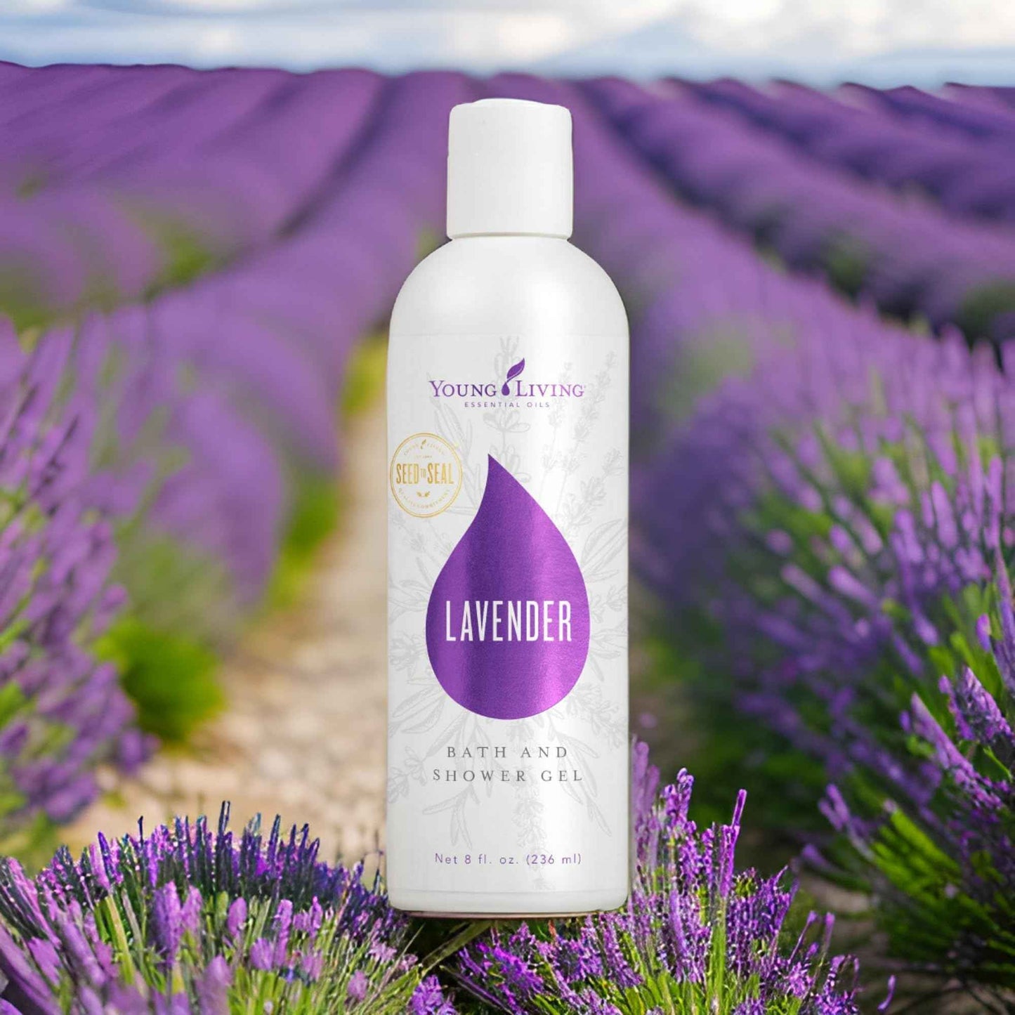 Lavender Bath & Shower Gel - 8 oz by Young Living Essential Oils