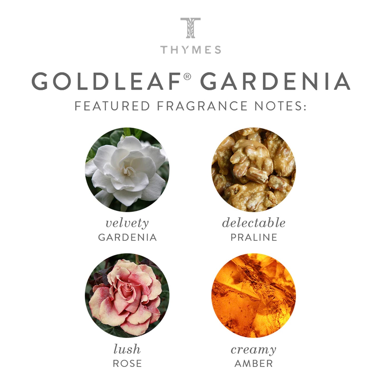 Thymes Goldleaf Gardenia Hand Wash with Pump - Hydrating Liquid Hand Soap | Gardenia, Lush Rose, Fresh Jasmine - Hydrating Liquid Hand Soap with Light Floral Scent - Luxury Hand Wash 8.25 oz