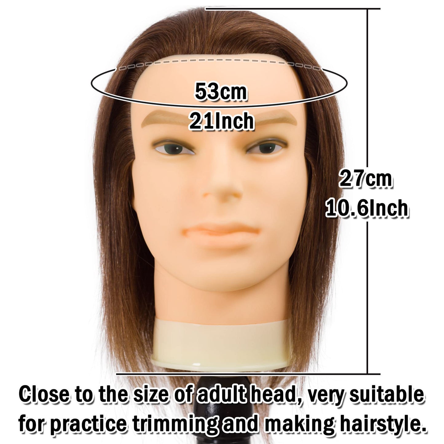 DIRUISI Male Mannequin Head with 100% Human Hair Haircut Training Head Hairdresser Manikin Head Doll Head for Hair Styling and Practice (8Inch 3B#)