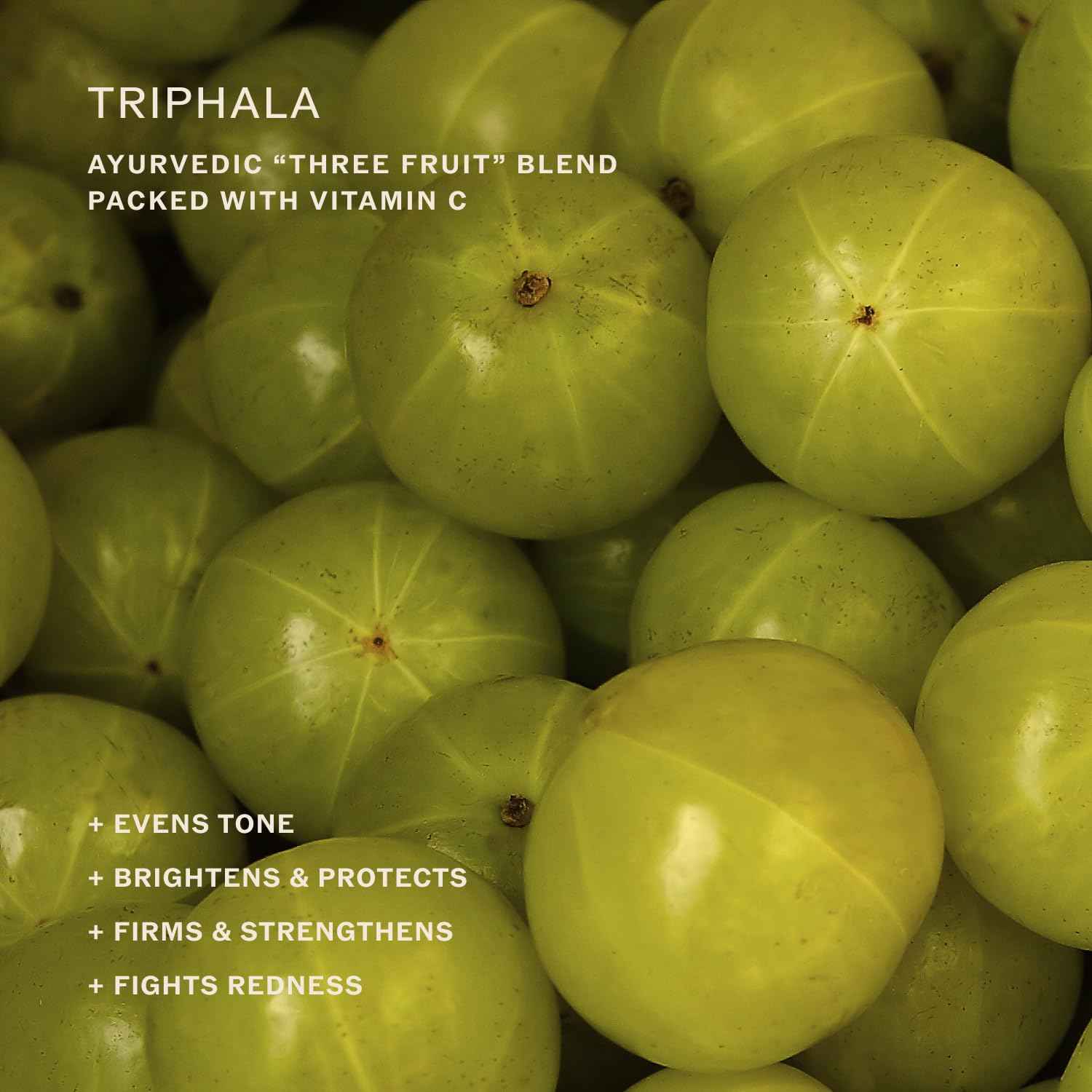 Sahajan Radiance Eye Cream with Niacinamide, Vitamin C + Adaptogens | Ayurvedic Clean Brightening Daily Eye Cream | All Skin Types | Best For Dark Circles, Firming, De-Puff, Soften, Smooth | 0.5 fl oz