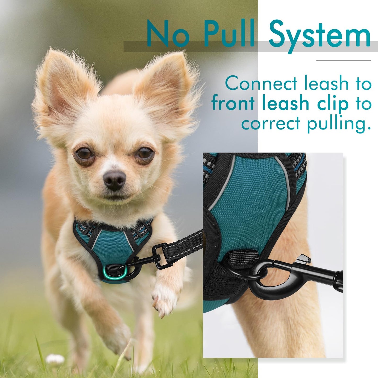 rabbitgoo Dog Harness, No-Pull Pet Harness with 2 Leash Clips, Adjustable Soft Padded Dog Vest, Reflective No-Choke Pet Oxford Vest with Easy Control Handle for Small Dogs, Blue Coral, XS