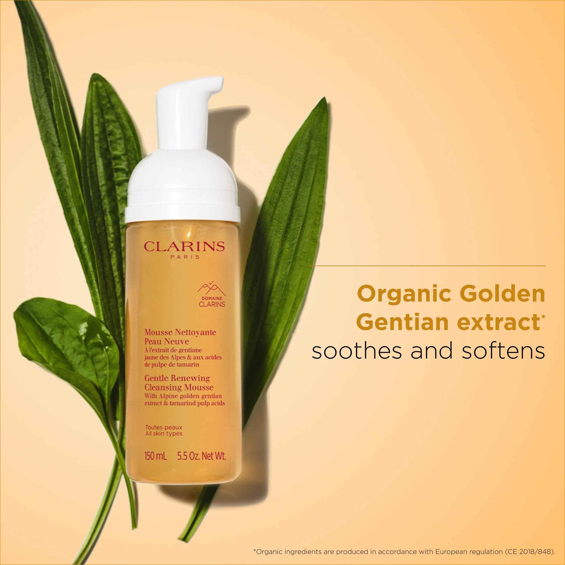 Clarins Gentle Renewing Cleansing Mousse | Cleanses, Gently Exfoliates & Refreshes | Foaming Mousse |Soap-No|SLS-No | Dermatologist Tested | Exfoliating Tamarind Pulp Extract Rich In AHAs | 5.5 Oz