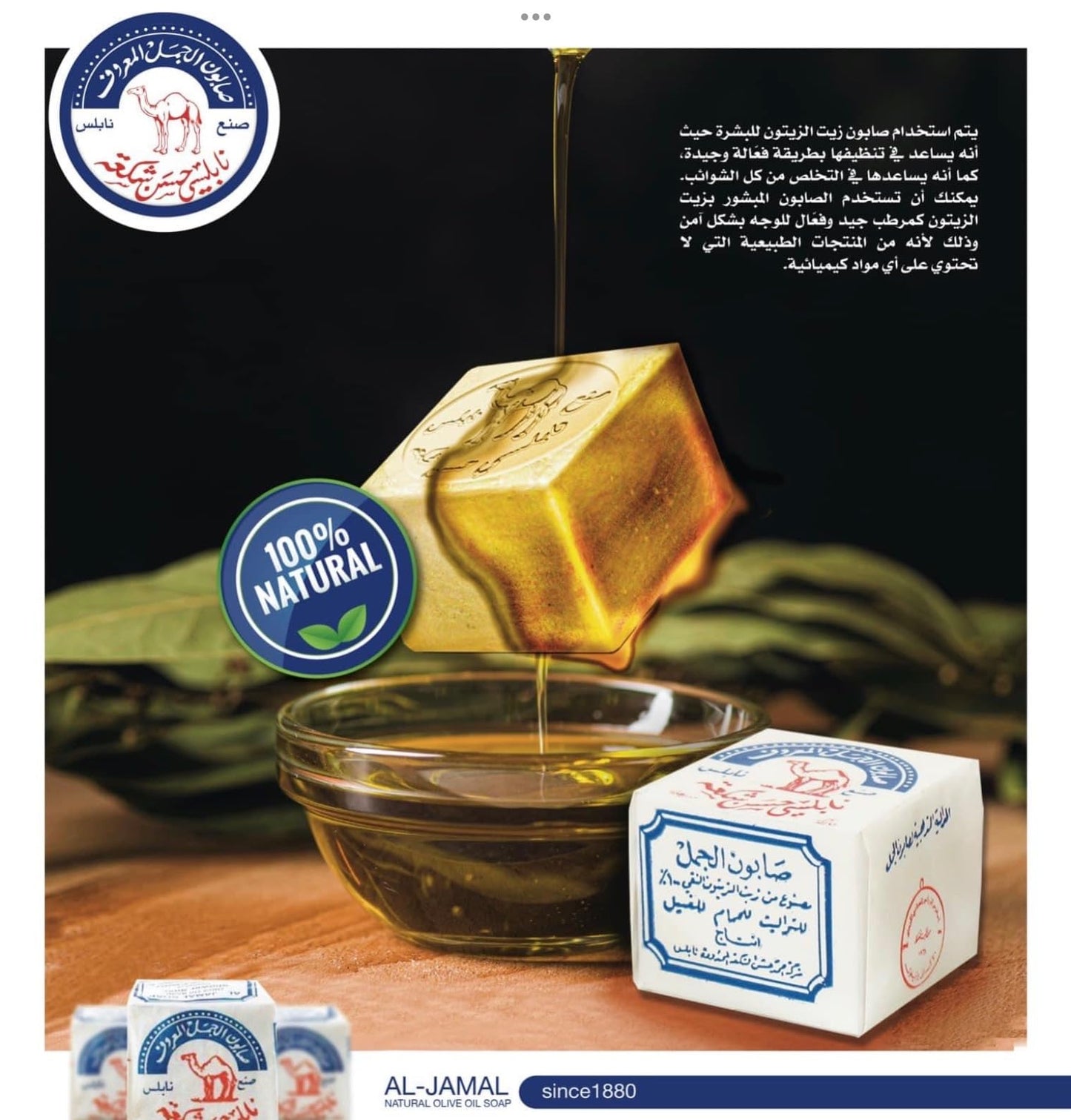 Al-Jamal ~ Palestinian Olive Oil Soap Bar Handmade West Bank Holy Land Organic Natural Traditional ~ Nablus (12)