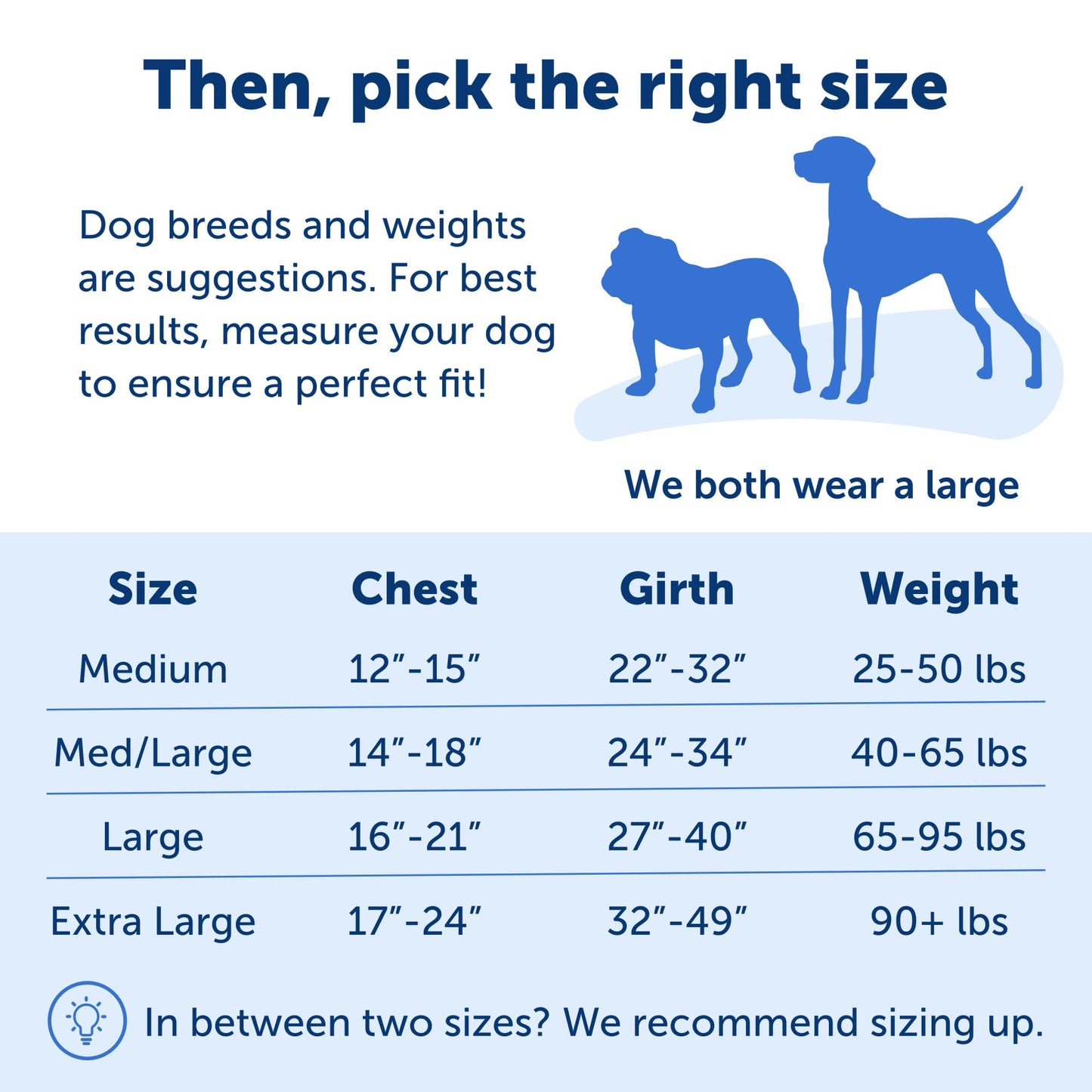 PetSafe Easy Walk No-Pull Dog Harness - The Ultimate Harness to Help Stop Pulling - Take Control & Teach Better Leash Manners - Helps Prevent Pets Pulling on Walks, Medium/Large, Royal Blue/Navy Blue