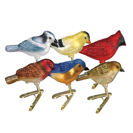 Old World Glass Christmas Clip-on Ornament - Assorted Miniature Songbirds, Set of 6