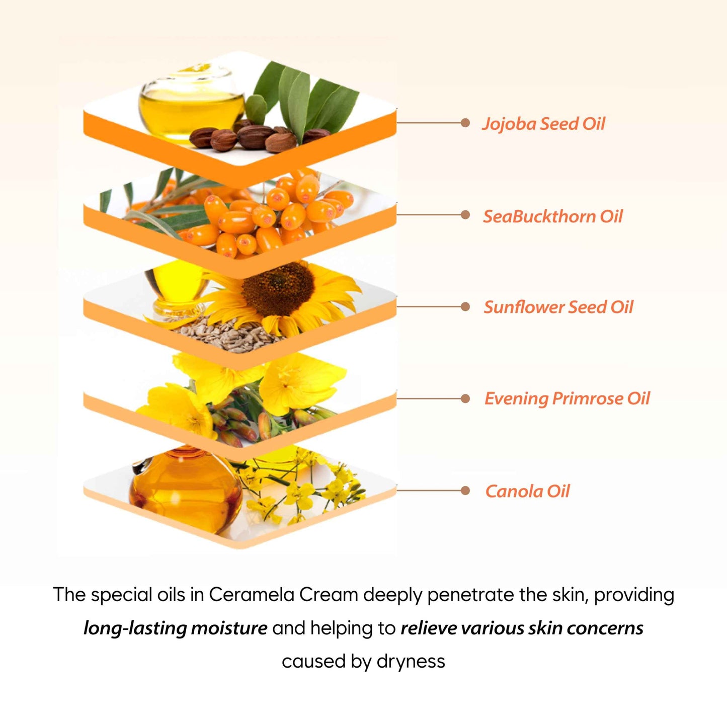 flaner Papaya Ceramela Moisturizer Cream – Dual-Function Wrinkle Firming and Brightening Face Cream, Ceramide & Melatonin, Lightweight Ceramide Cream for Dry Skin, Korean Skincare, 1.69 fl. oz