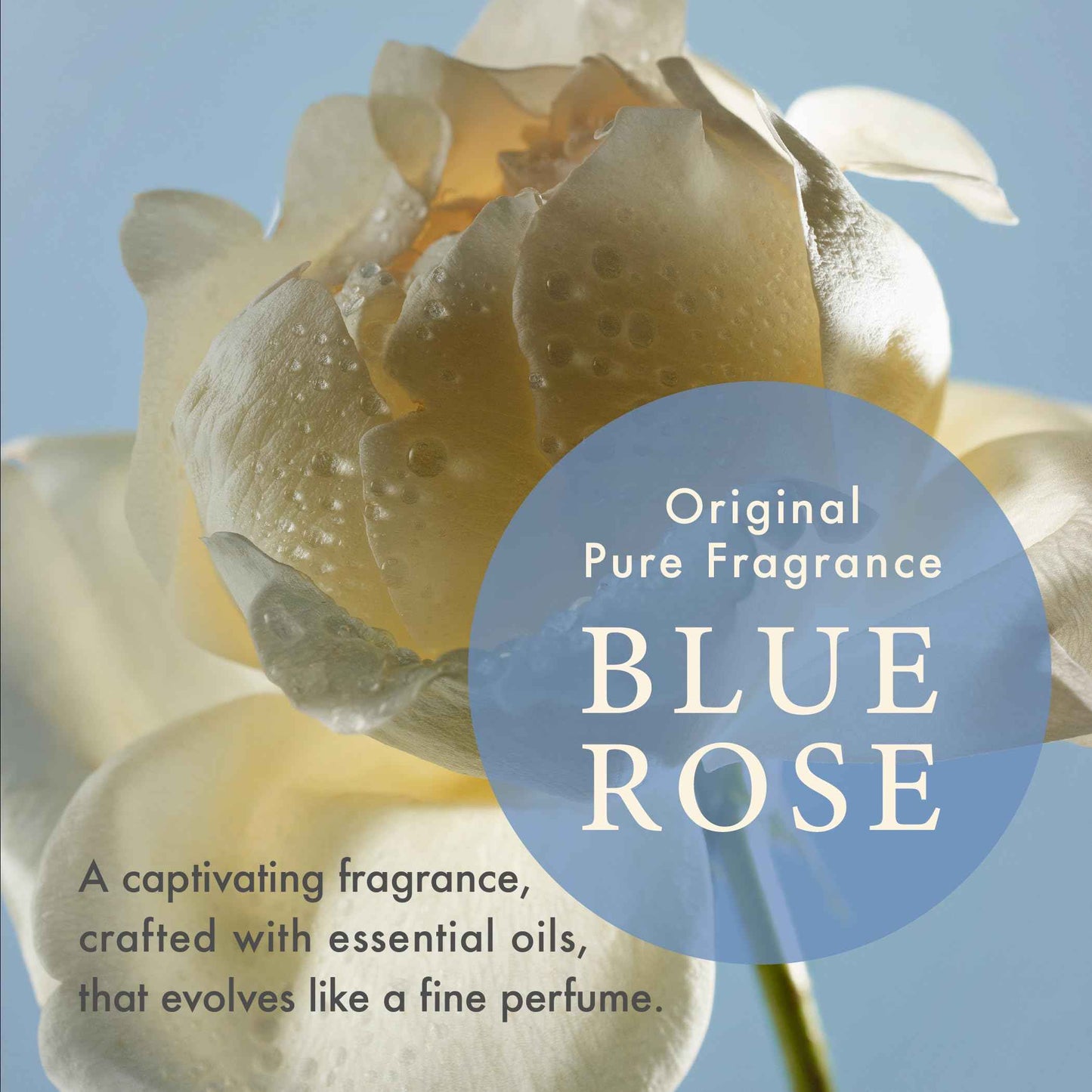 TAKE MY HAND TMH Hand Cream | Made in Japan, 99% Natural Ingredients, Essential Oil Scented - Professional Hand Model-Owned Brand -1.4 oz