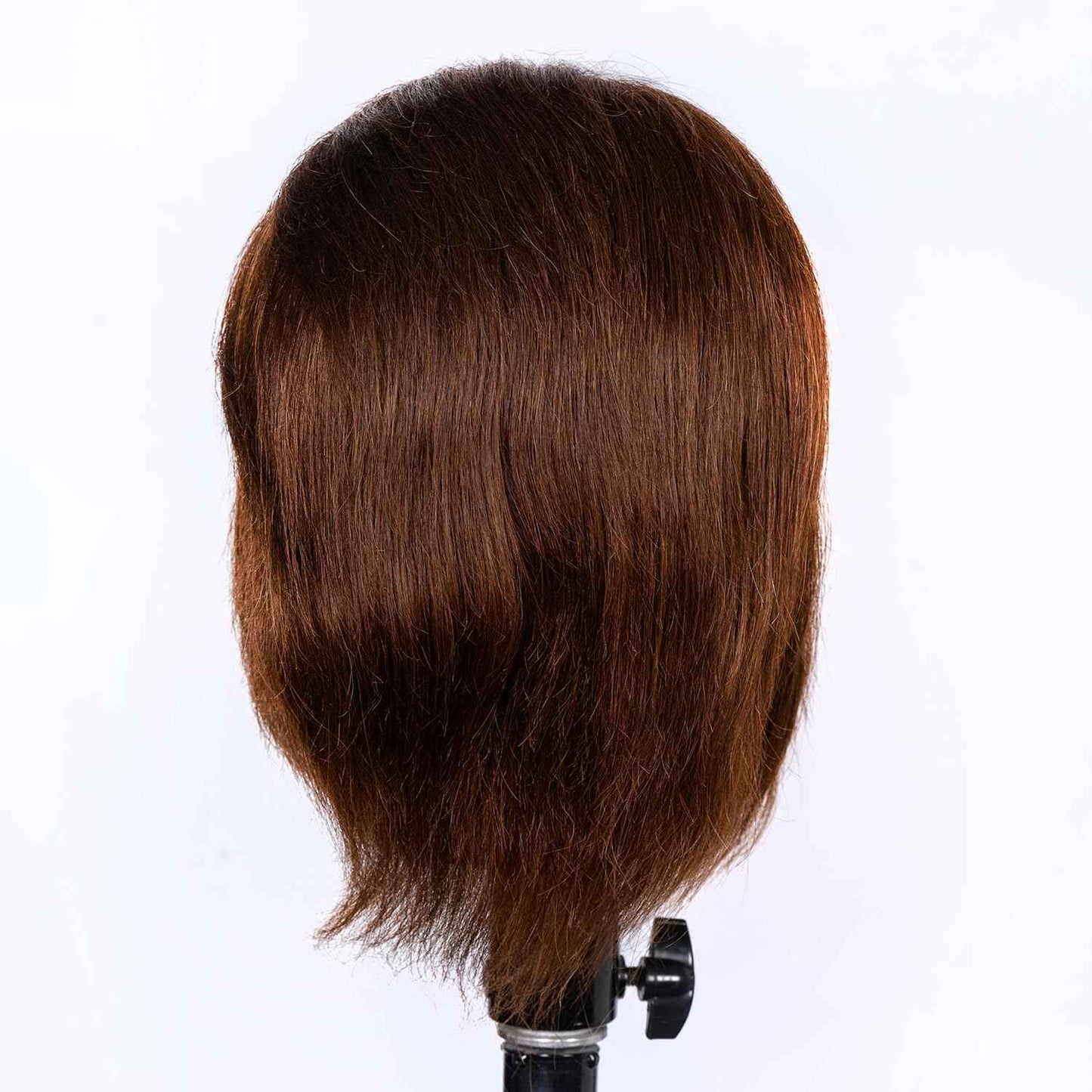 Male Mannequin Head 100% Human Hair Mannequin Head Cosmetology Mannequin Head with Stand Mannequin Head Human Hair Doll Head (Brown with beard)