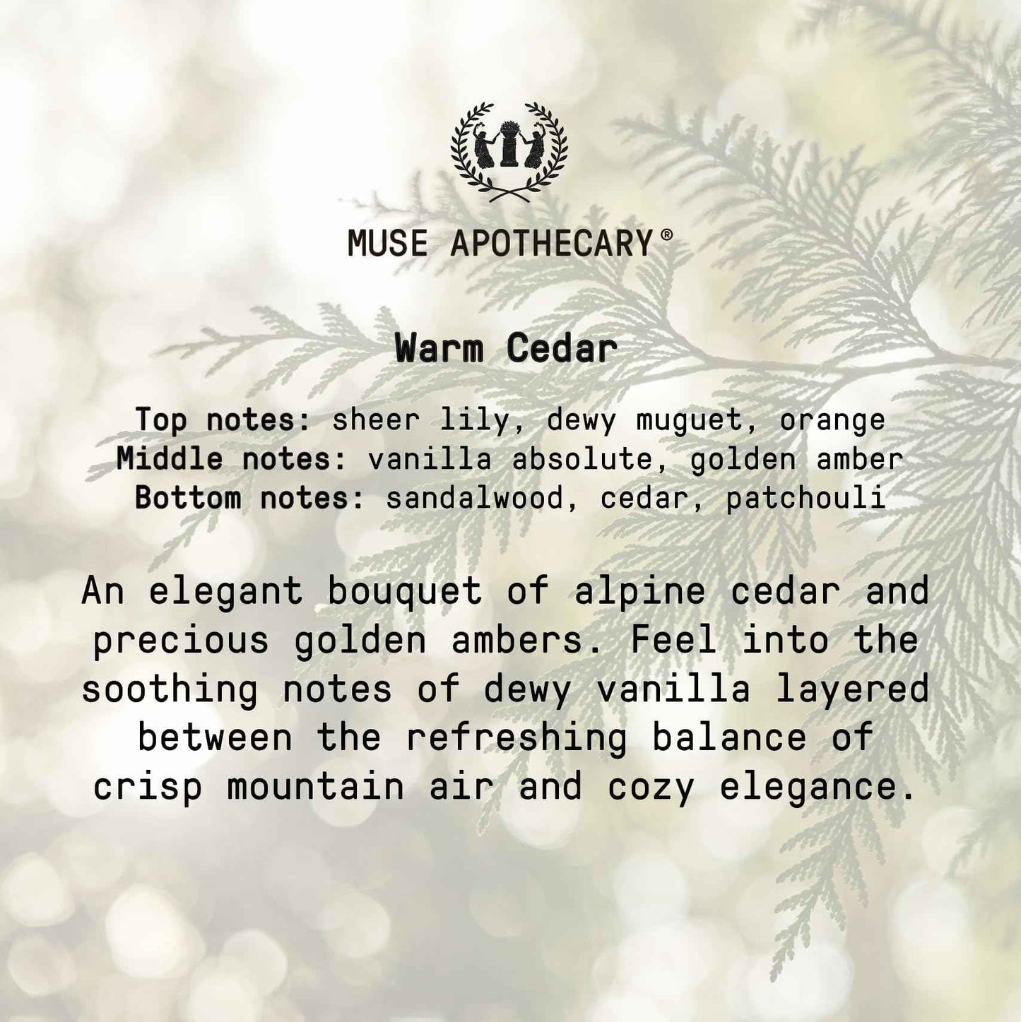 Muse Apothecary Hand Ritual - Botanical Collection - Aromatic and Nourishing Hand Soap, Infused with Natural Aromatherapy Essential Oils - 16 oz, Warm Cedar, 2 Pack