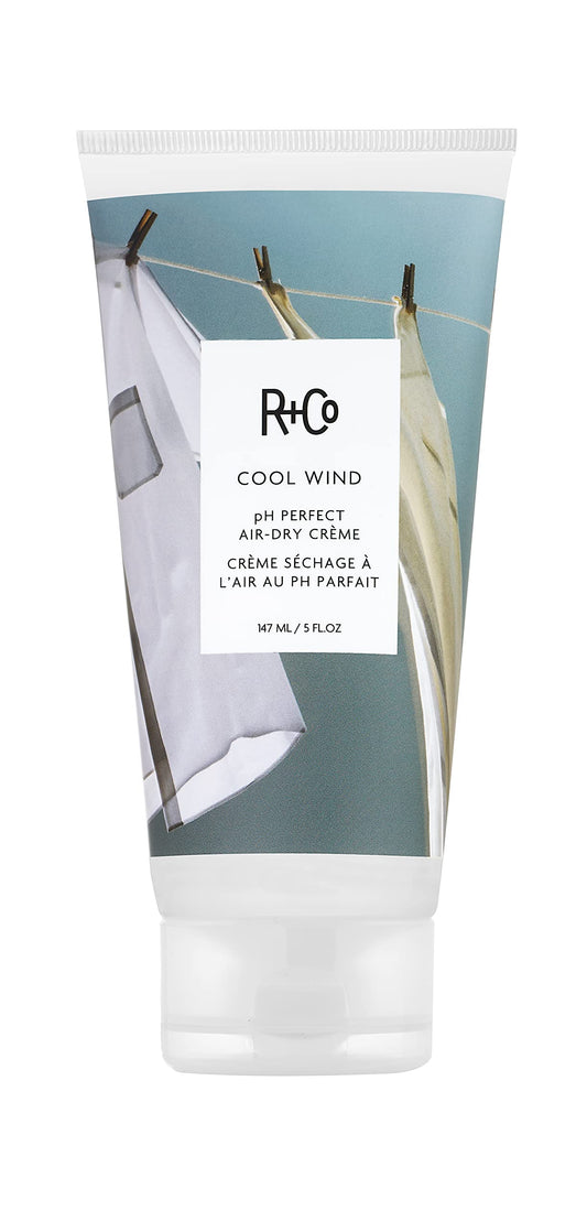 R+Co Cool Wind pH Perfect Air Dry Crème | Air Dry Styler Tames Frizz + Hydrates | Vegan + Cruelty-Free | 5 Oz