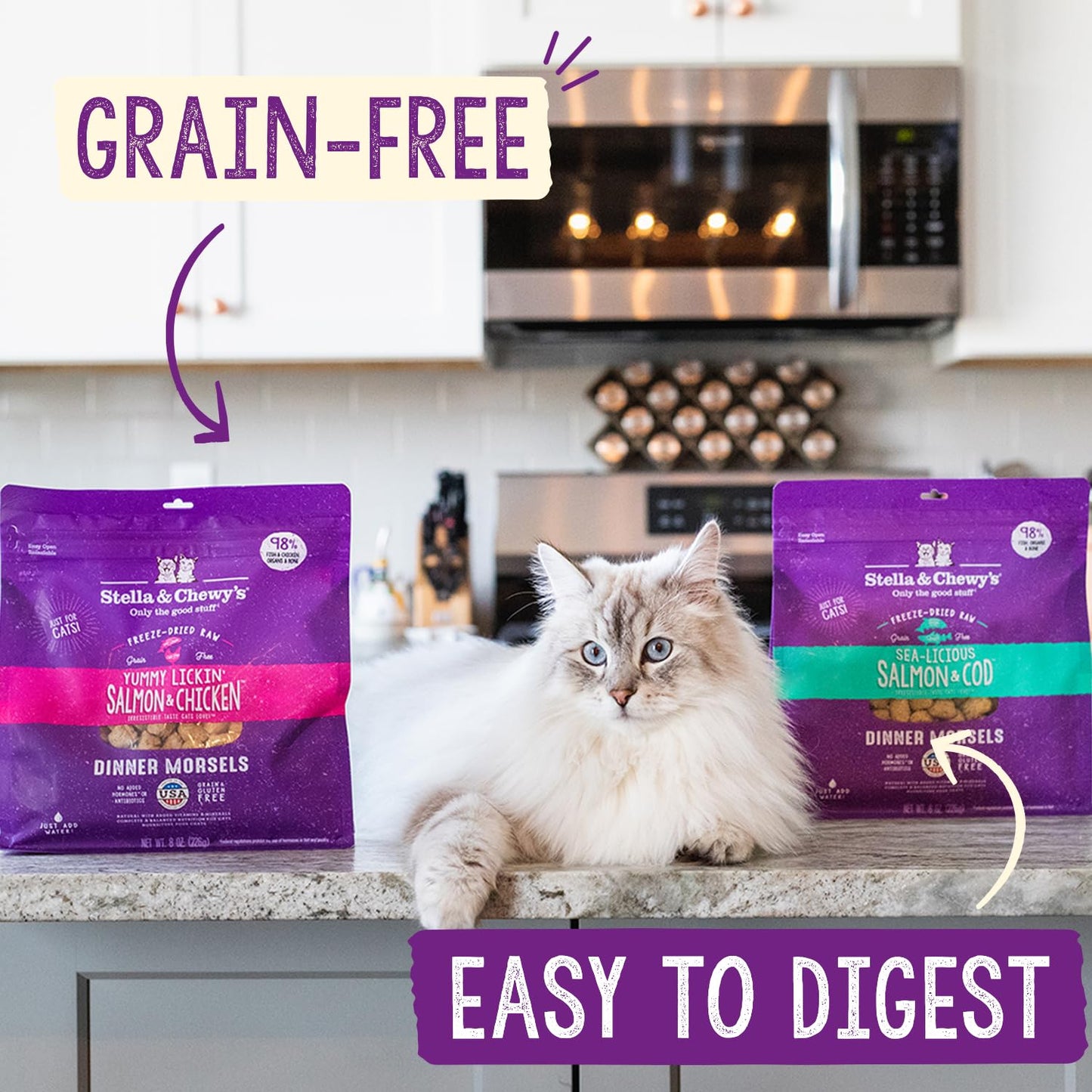 Stella & Chewy's Freeze-Dried Raw Cat Dinner Morsels – Grain Free, Protein Rich Cat & Kitten Food – Plate Lickin' Pork Recipe – 3.5 oz Bag