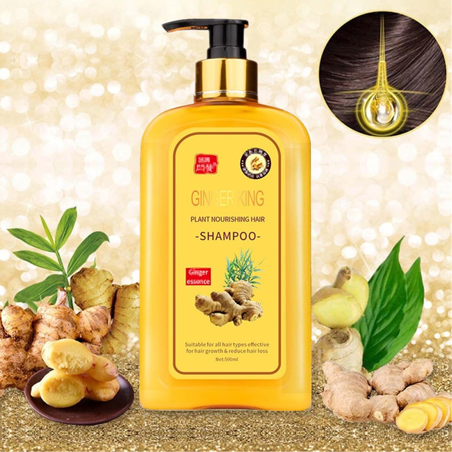 Ginaday Instant Ginger Hair Regrowth Shampoo, Ginger Anti-Fall Shampoo, Ginger Shampoo for Hair Growth, Ginger Hair Care Shampoo, Ginger Anti-Hair Loss Hair Shampoo (500ML/1PCS)