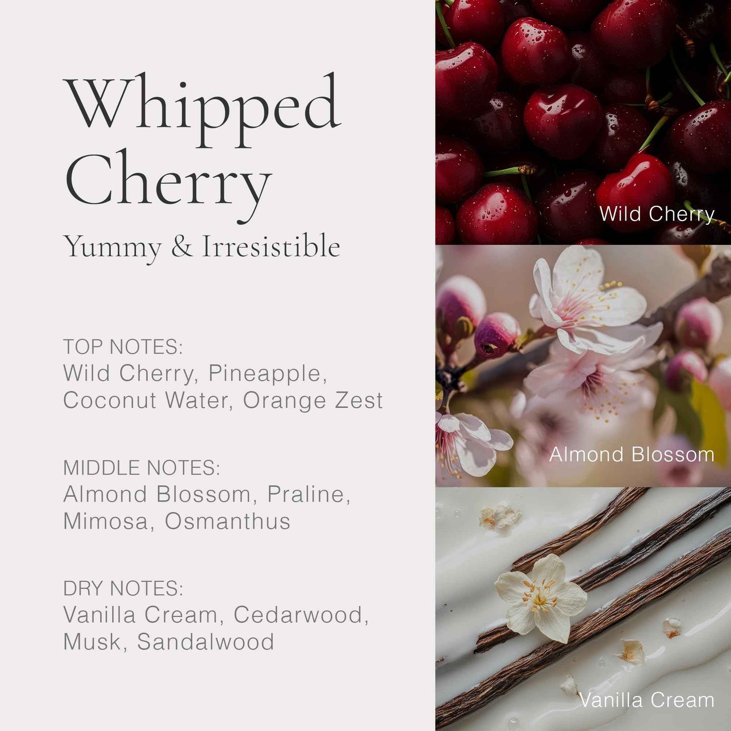 CLEAN RESERVE Travel Spray Layering Gift Set 4x5ml