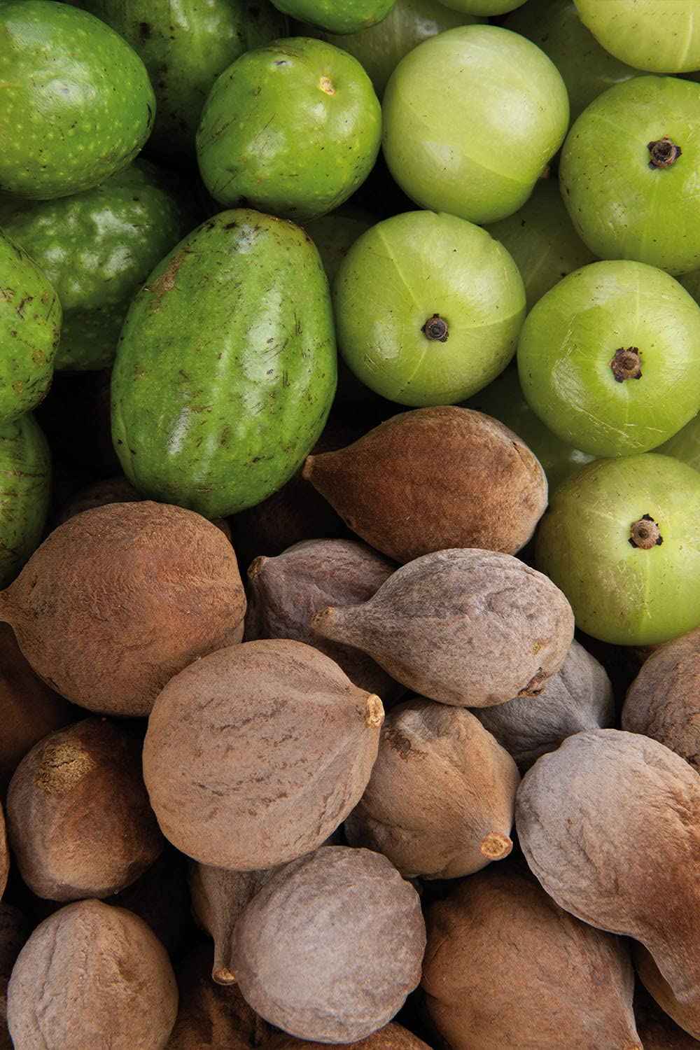 KHADI TRIPHALA TRI-TOX Ayurvedic Elixir Skin & Soul Body Oil, 100% Natural, Herbal & Vegan, Promotes Detoxification and the release of impurities, 1.69 oz