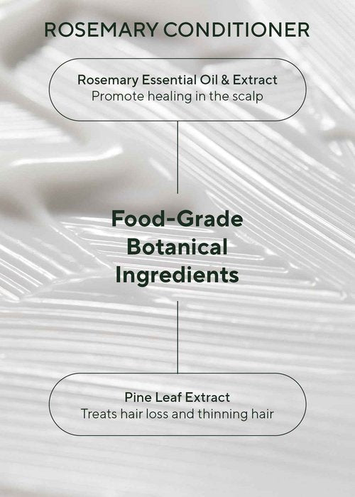 AROMATICA Rosemary Scalp Scaling Shampoo and Conditioner Set 13.53 fl.oz each – Vegan Korean Hair Care Gift Set for Woman with Rosemary Oil. Sulfate Free Shampoo Conditioner For Hair Growth