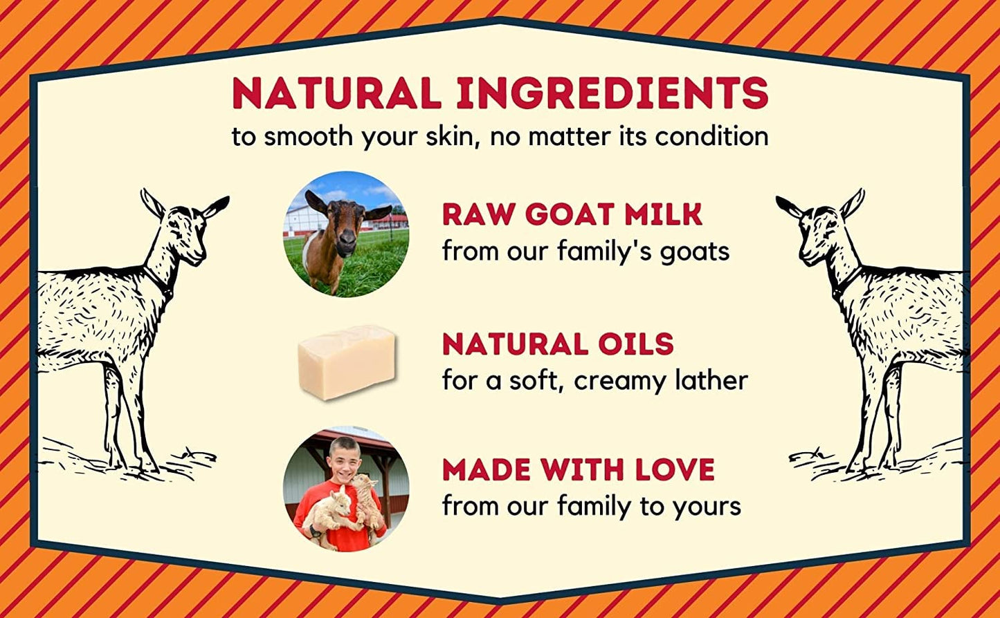 Goat Milk Stuff CHARCOAL Goat Milk Soap - Natural Soap Bar, Gifts for Men and Women, Gentle for both Face and Body, Handmade Bar Soap (Box of 2)