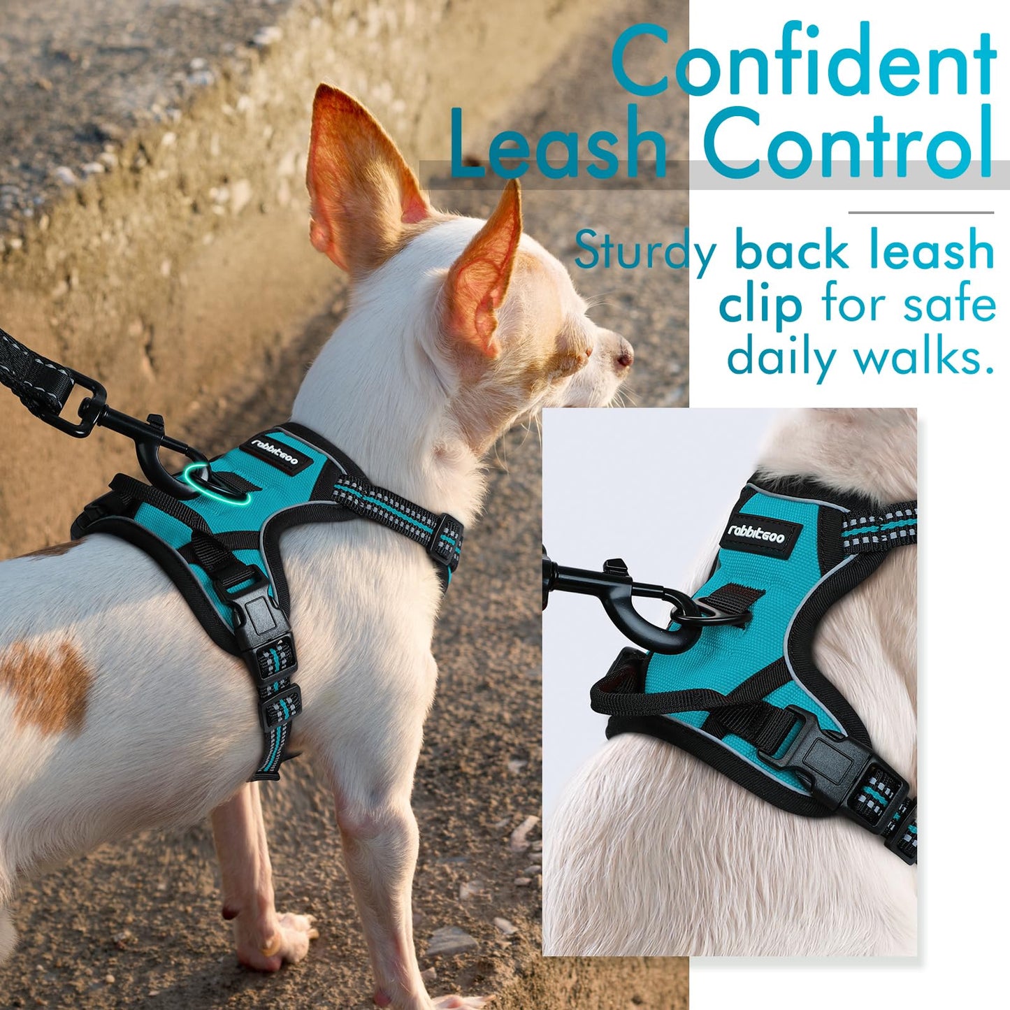 rabbitgoo Dog Harness, No-Pull Pet Harness with 2 Leash Clips, Adjustable Soft Padded Dog Vest, Reflective No-Choke Pet Oxford Vest with Easy Control Handle for Large Dogs, Teal, X-Small