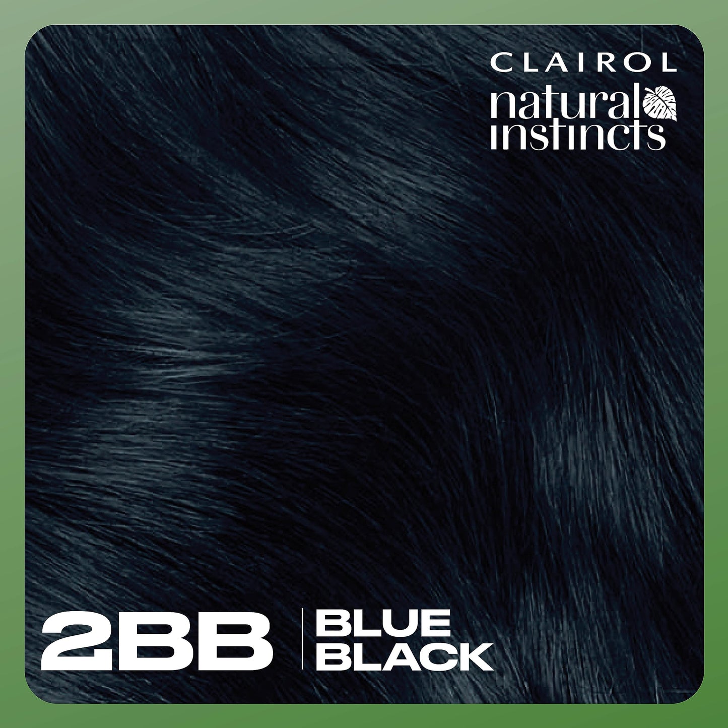 Clairol Natural Instincts Demi-Permanent Hair Dye, 2BB Blue Black Hair Color, Pack of 1