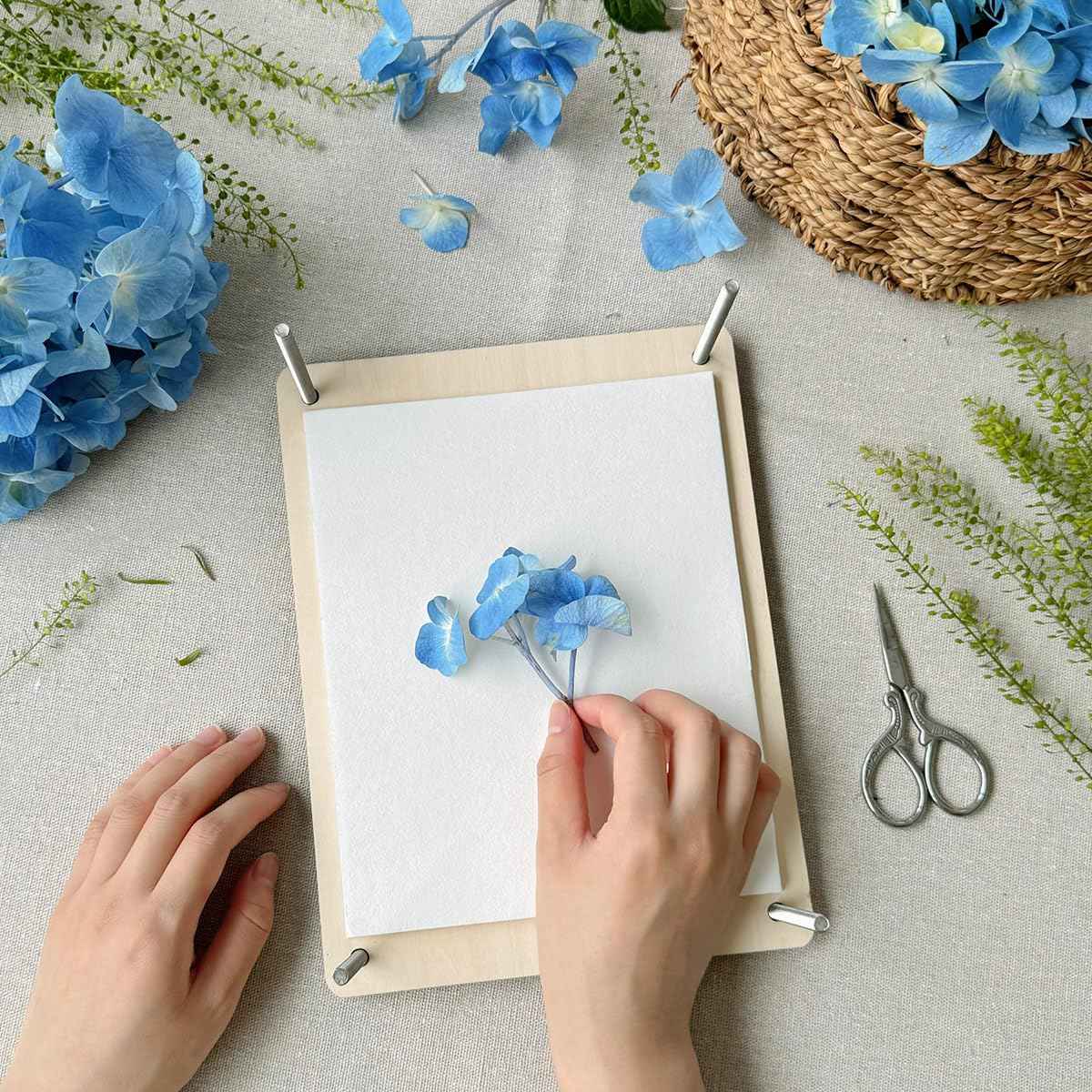 Happinit 20 Sheets A4 Size Blotting Paper for Flower Press, Large Blotter Paper for Flower Press, Herbarium Paper Craft, Flower Press Paper, Working with Flower Pressing Kit for Adults (20), 20 white