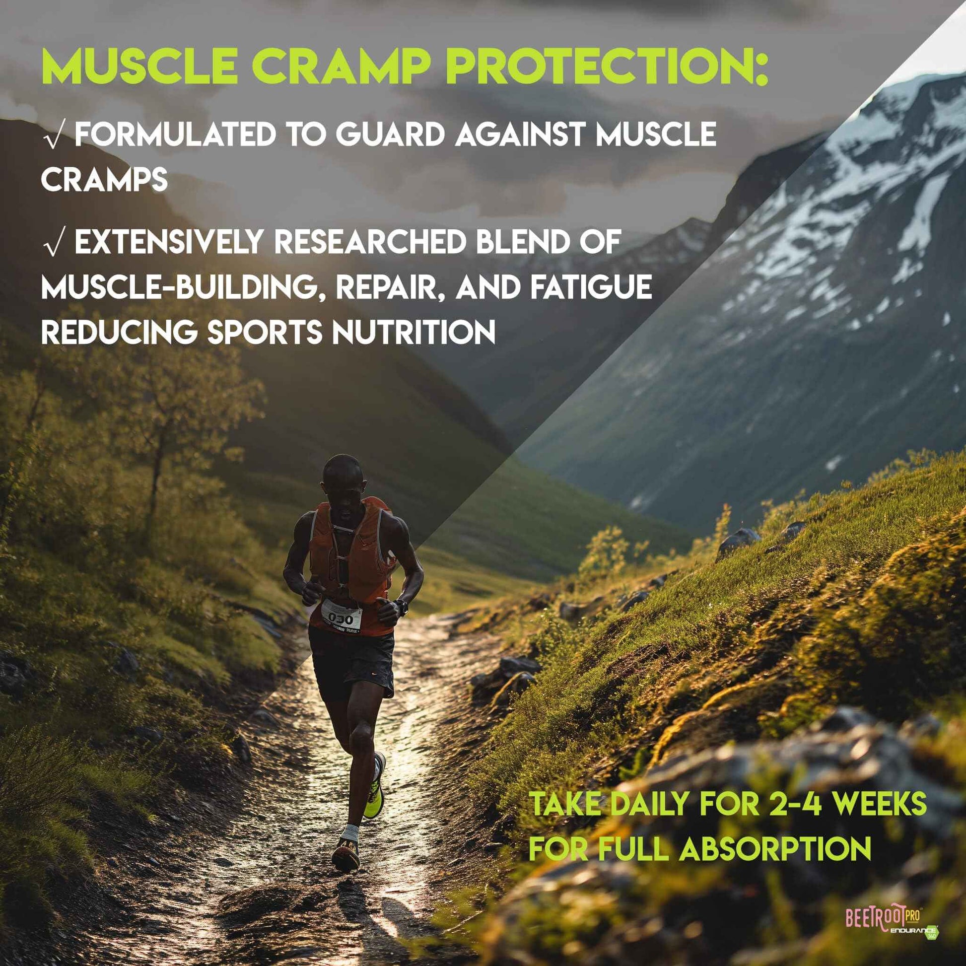 Endurance 360 Complete with Electrolytes, Creatine and Beta Alanine - Fast Legs & Stamina, Leg Cramp Prevention, Oxygen Delivery with Rhodiola, Muscle Recovery, VO2 Max Boost, Lactic Acid Buffer